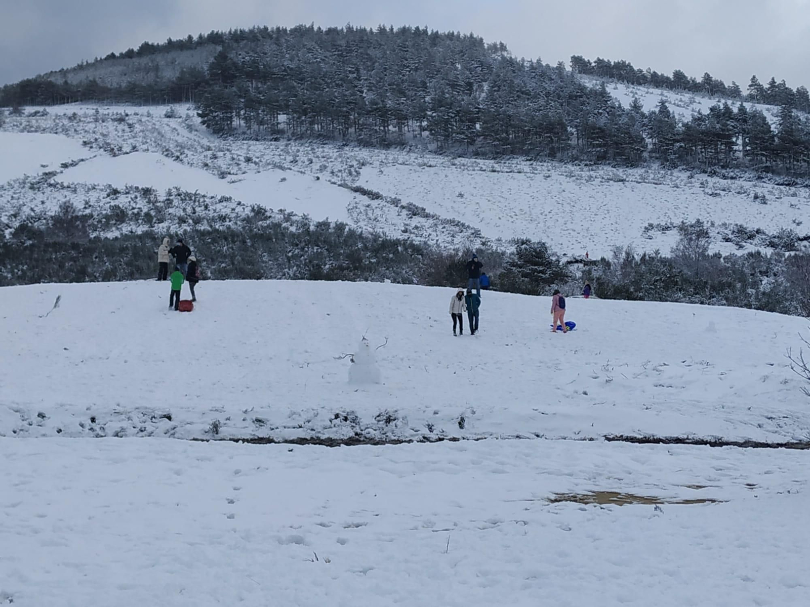 Jornada de nieve en el Alto da Portela.