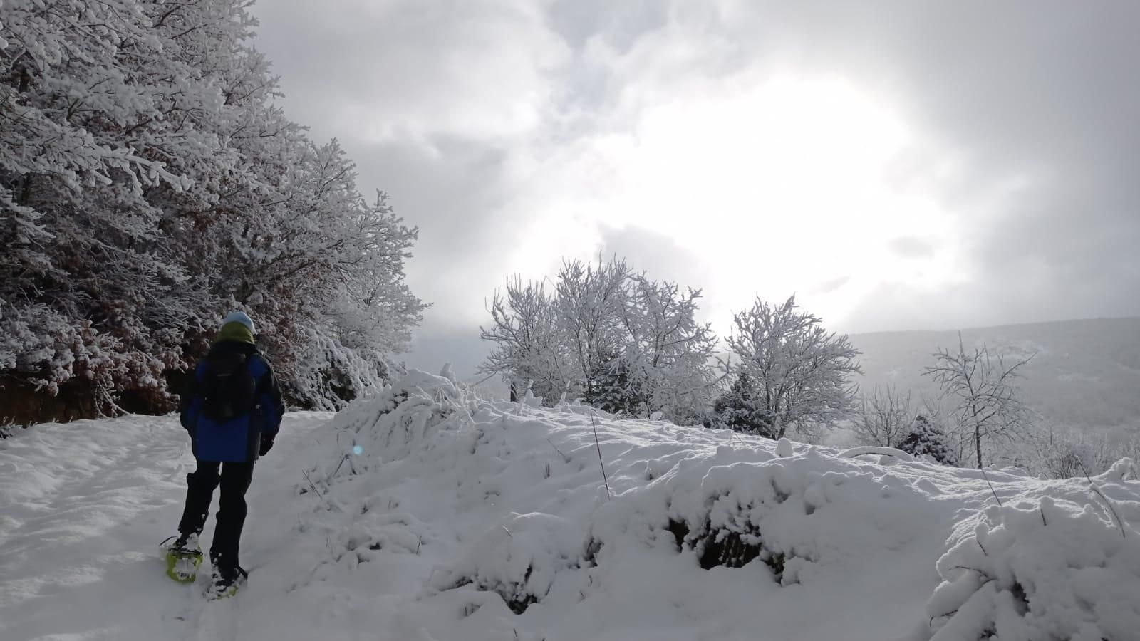 WhatsApp Image 2021-01-01 at 17.32.00