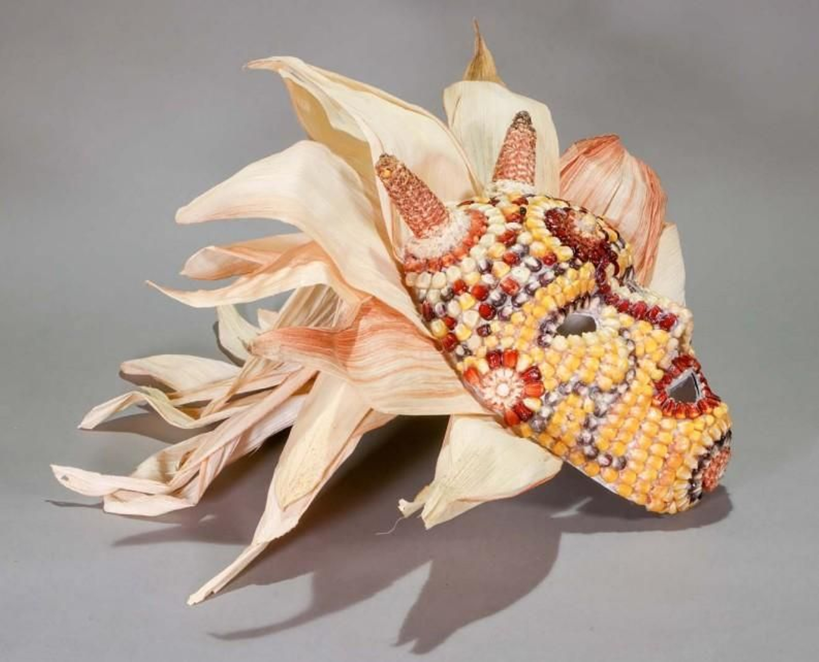 MASCARAS ENTROIDO/Captura de pantalla 2026-03-04 172849