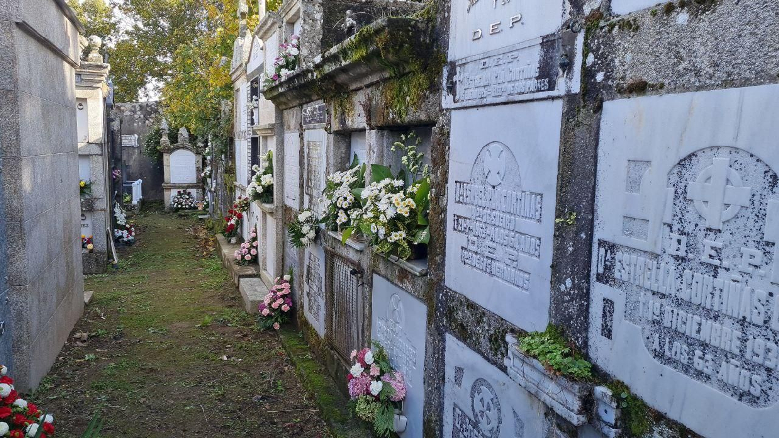 Cementerio de A Pobra de Trives. // R.M.