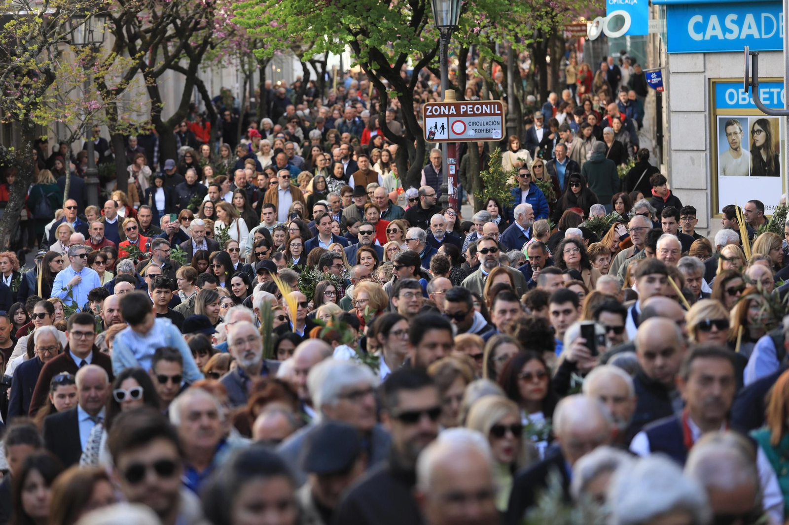 Galería | La procesión de la Borriquita marca el Domingo de Ramos en Ourense
