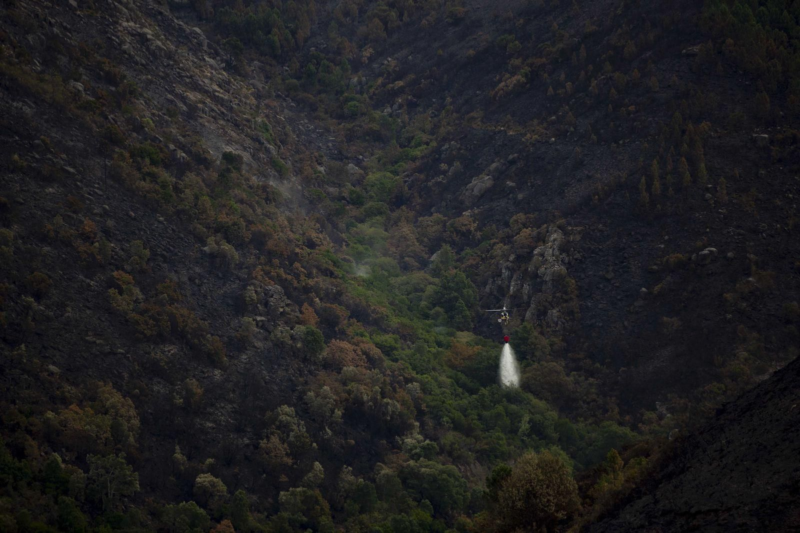 El Xurés se tiñe de negro tras los incendios (XESÚS FARIÑAS)