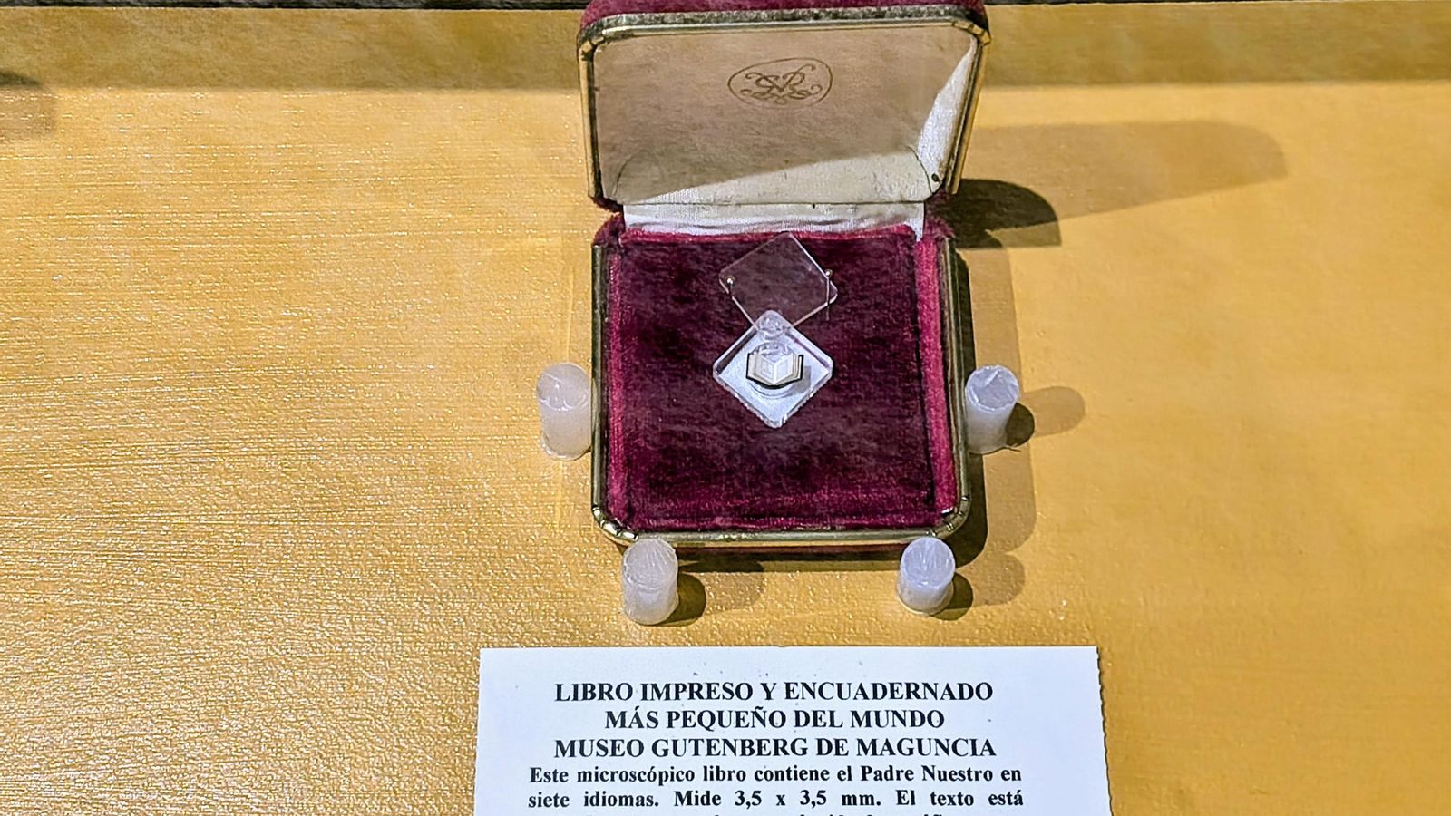 El libro impreso más pequeño del mundo.