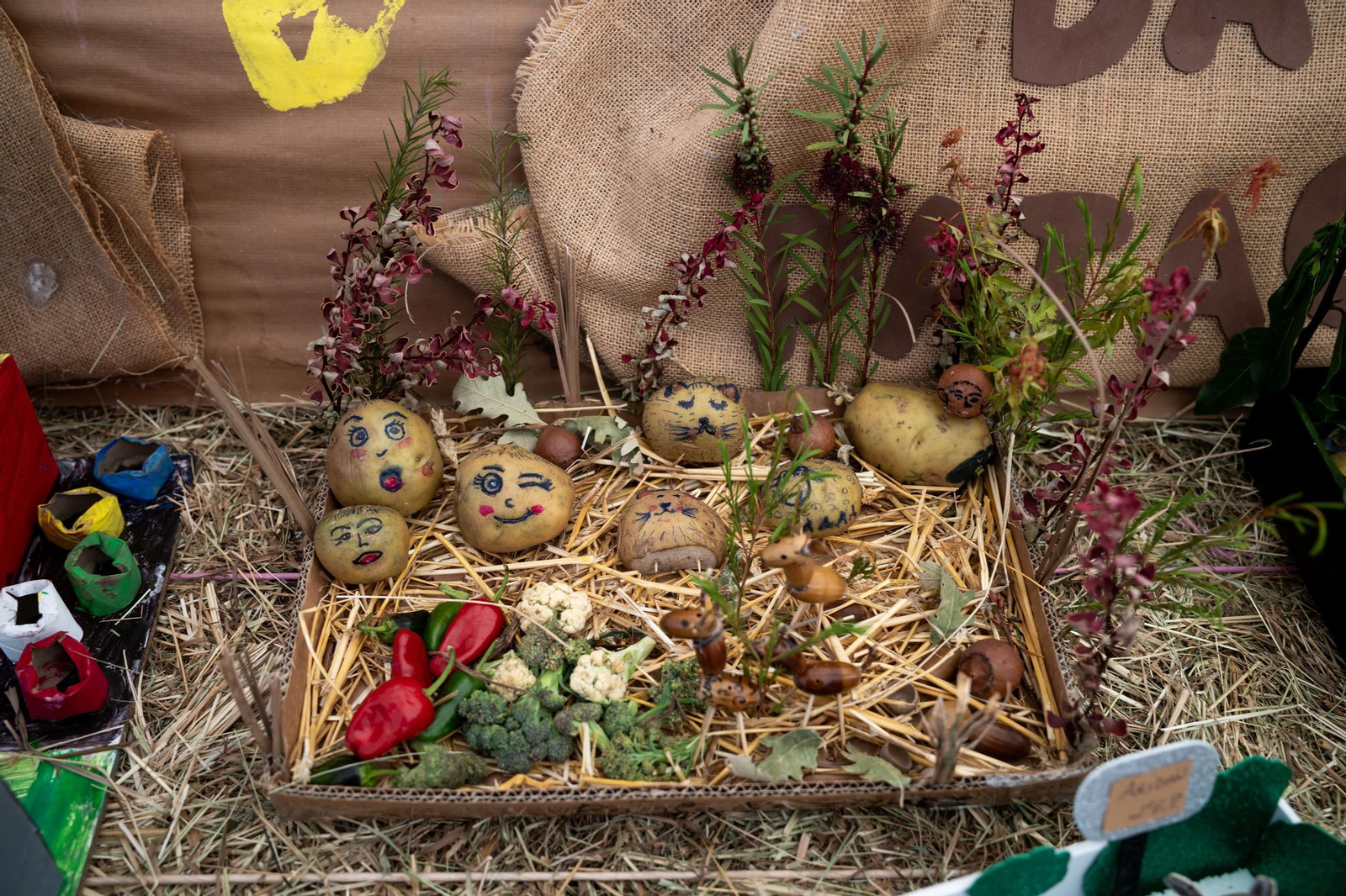 Galería | Vilar de Barrio disfruta un año más con al Festa da Pataca