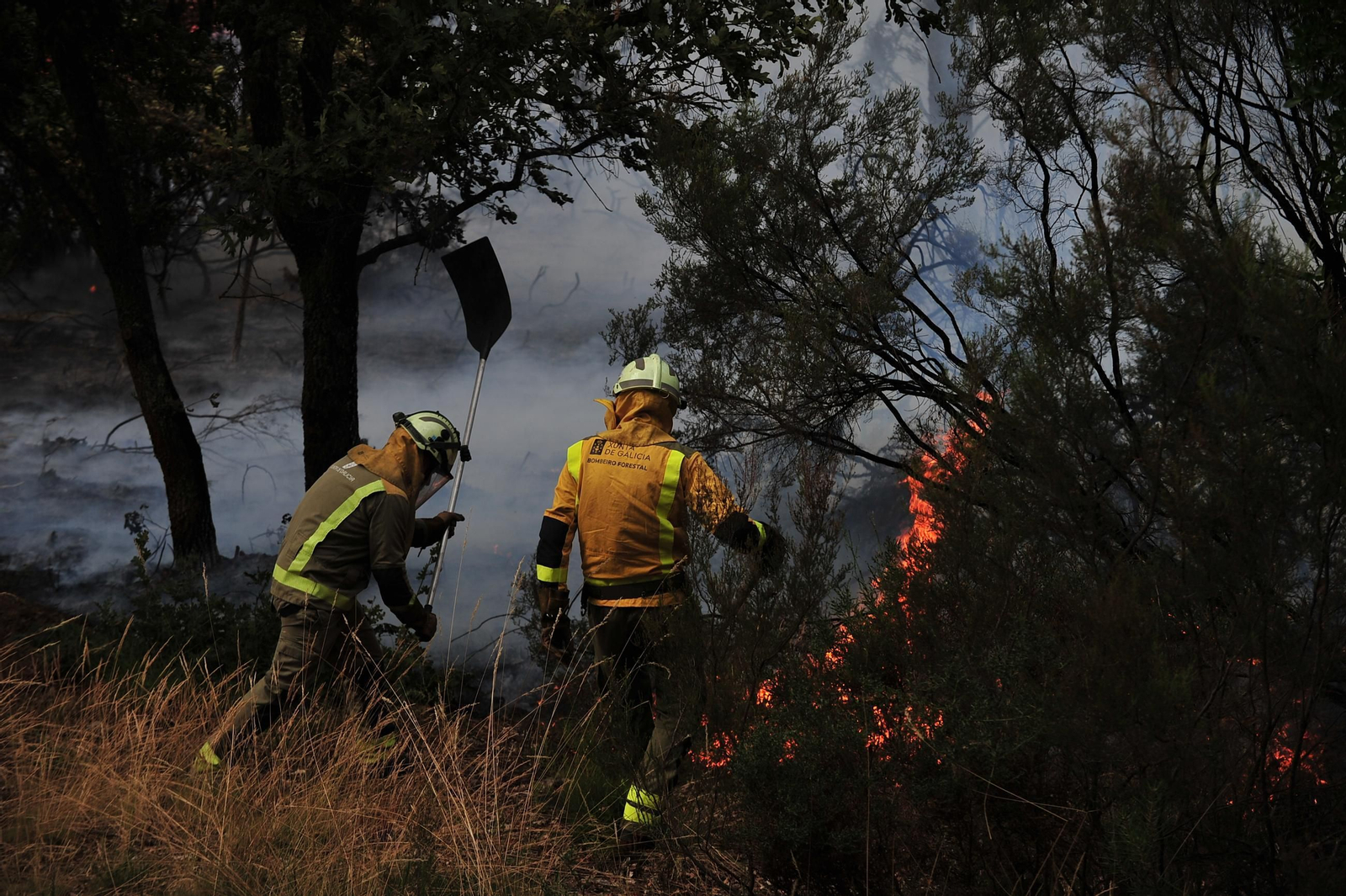 Galería | Despliegue de medios para extinguir un incendio en Rante