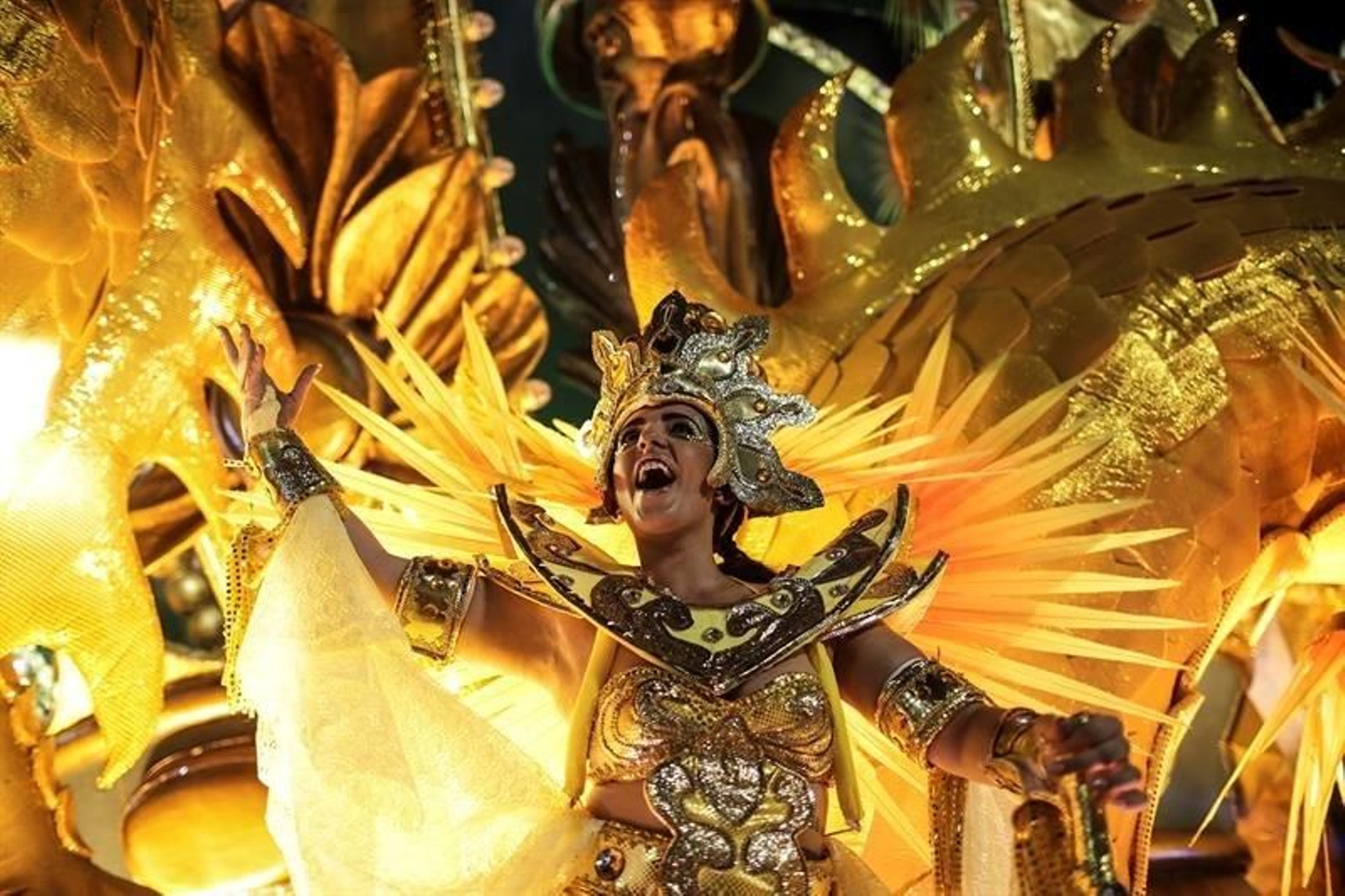Celebración del carnaval en Río de Janeiro 23