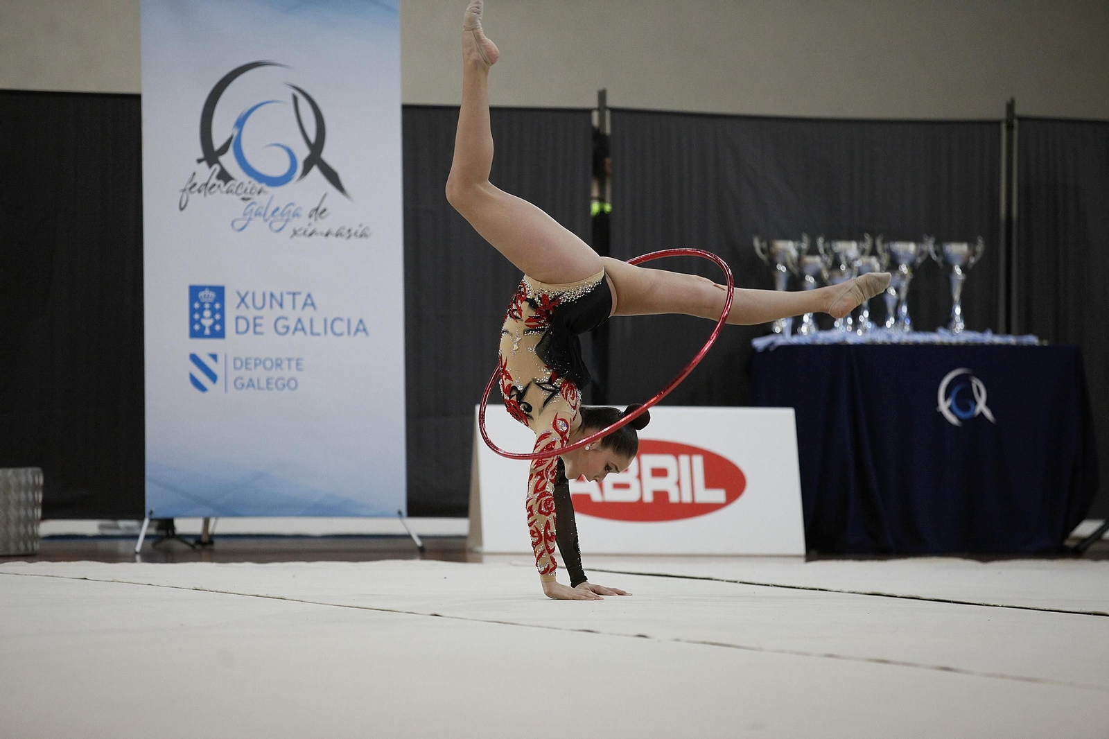 Cantidad y calidad en el Autonómico de gimnasia rítmica