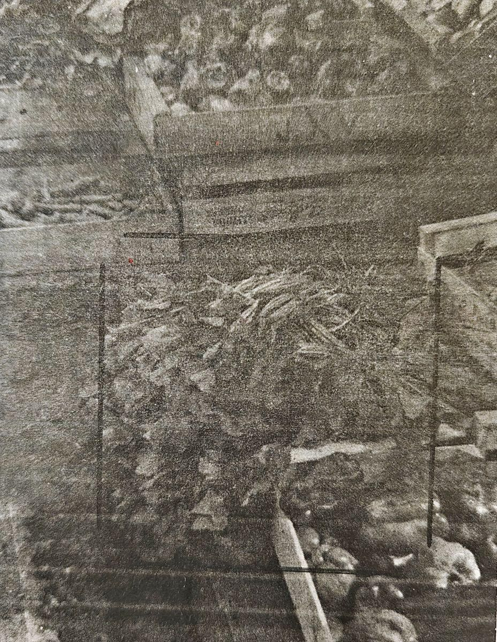 Legumbres y hortalizas a precio de oro en la Plaza de Abastos.