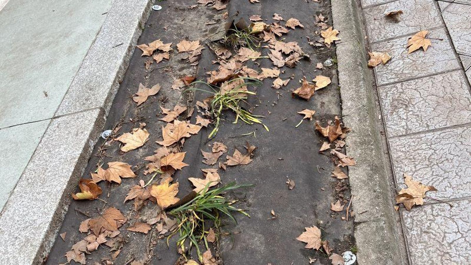 Jardineras inexistentes