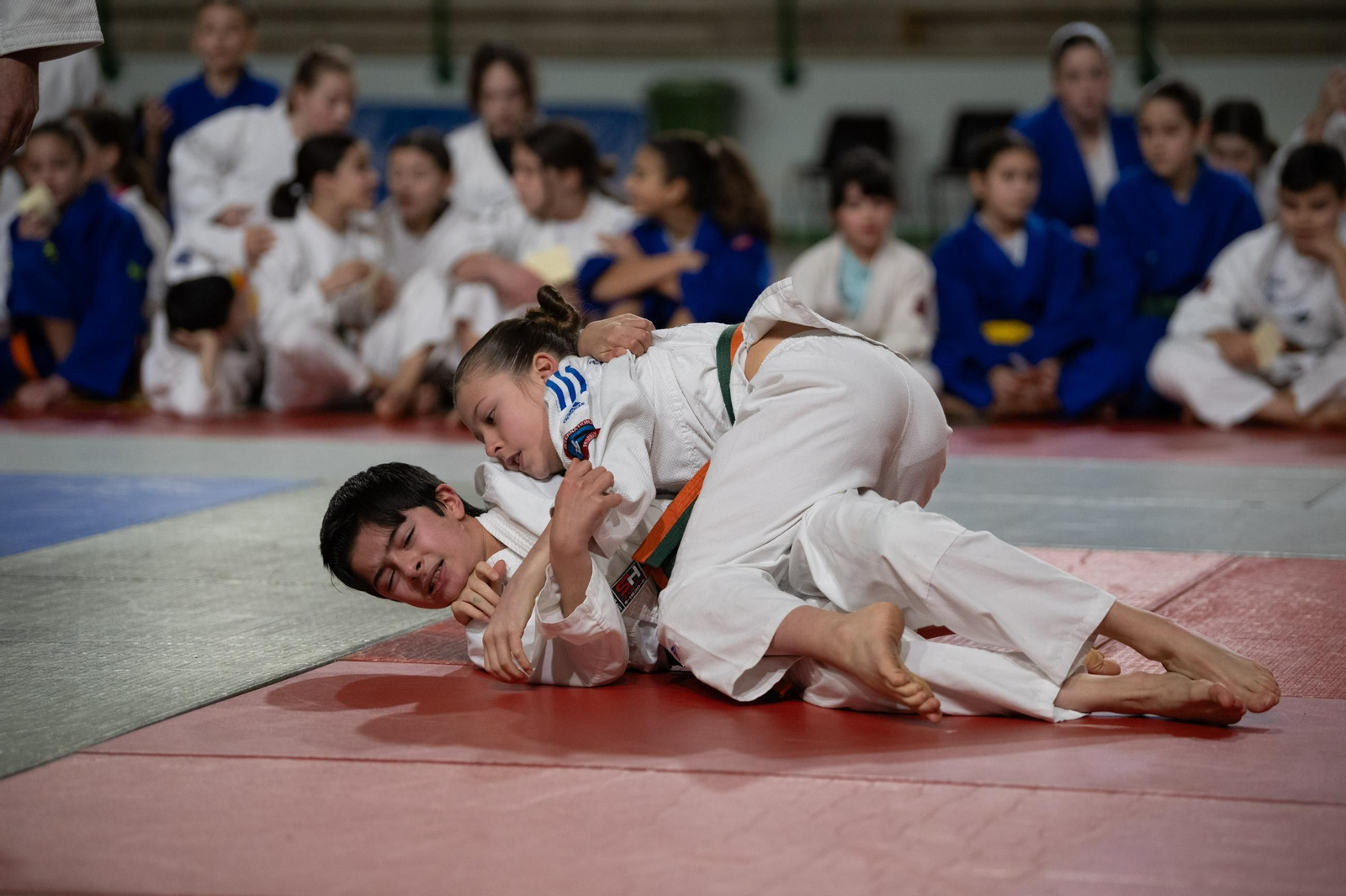 Galería | El judo arranca una edición más de su Copa Diputación