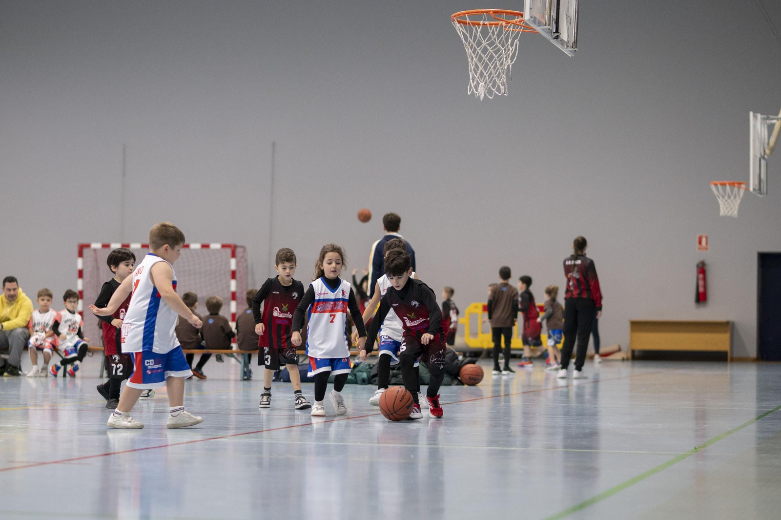 Galería | El babybasket vuelve a Ourense con su primera concentración  de la temporada