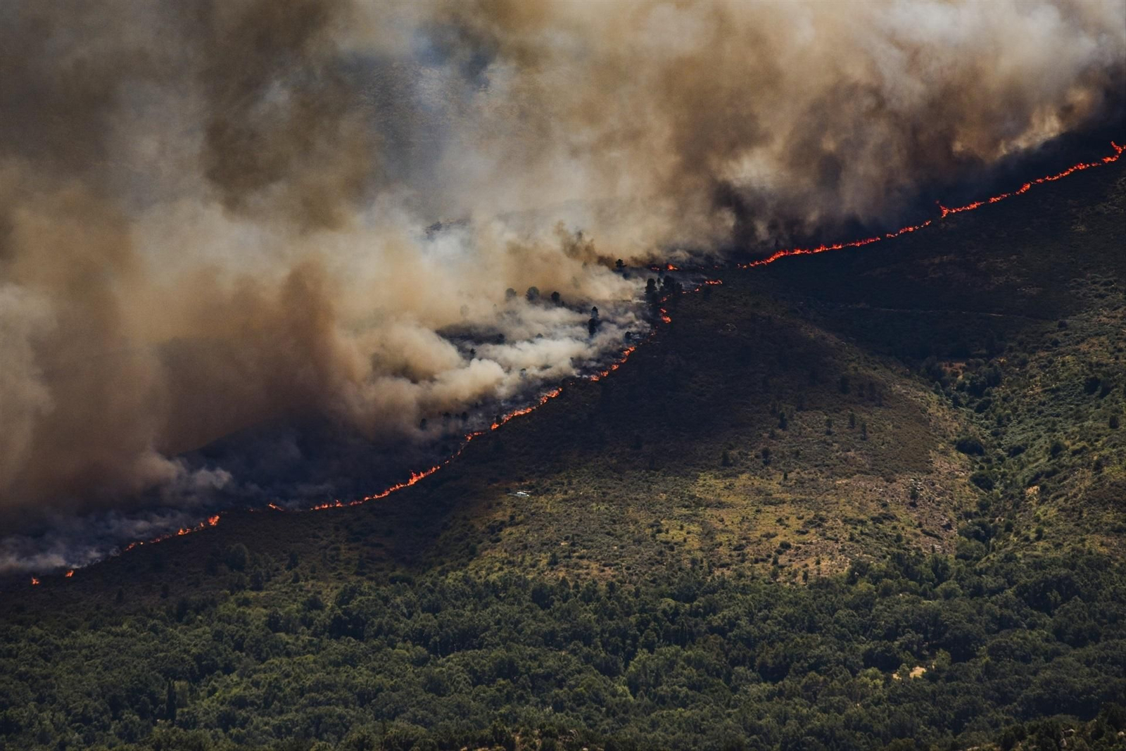 Madrid y Ávila rodeados de incendios forestales en emergencia de interés nacional, en fotos