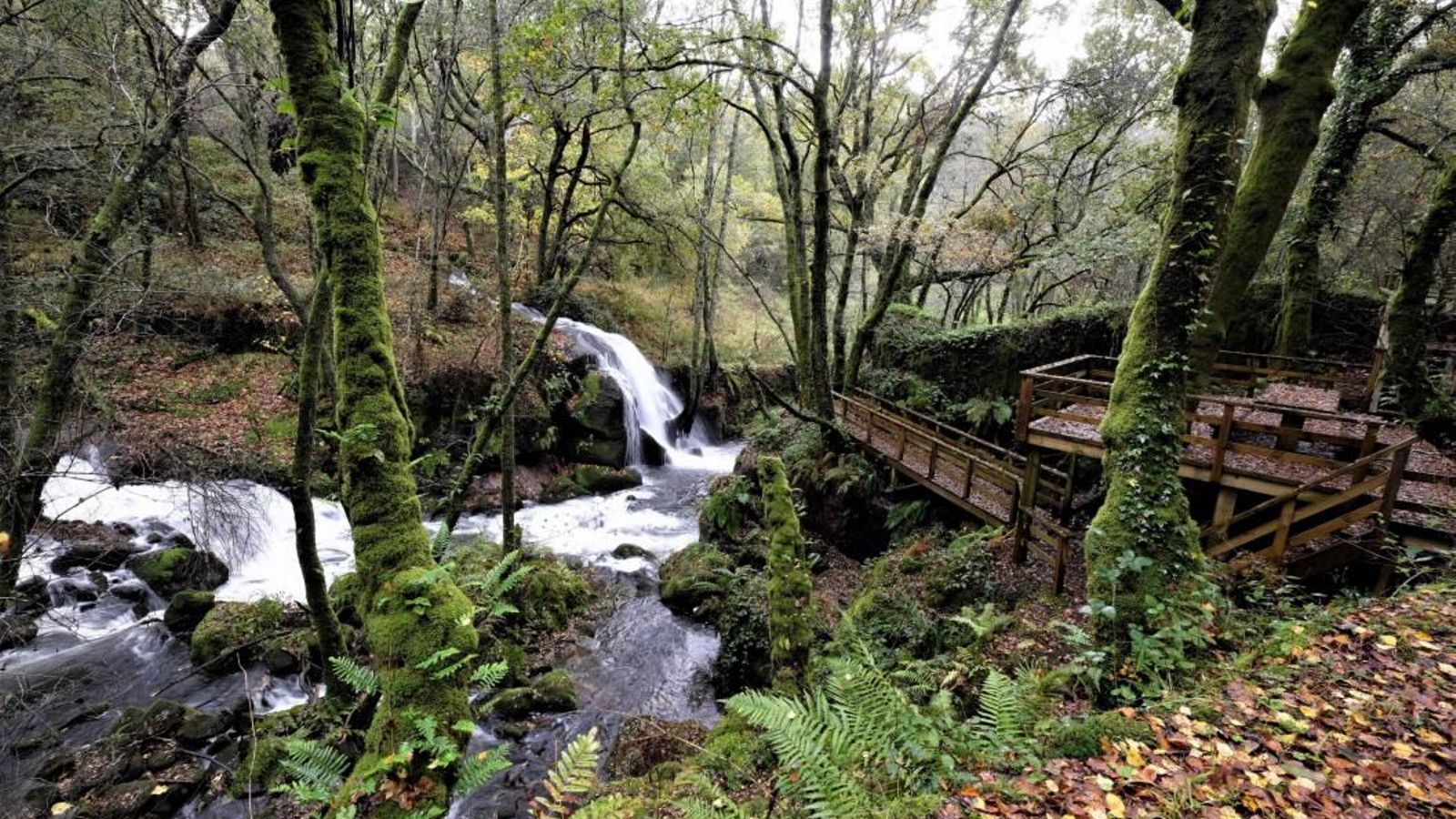 tg_carrusel_cabecera_grande (2)