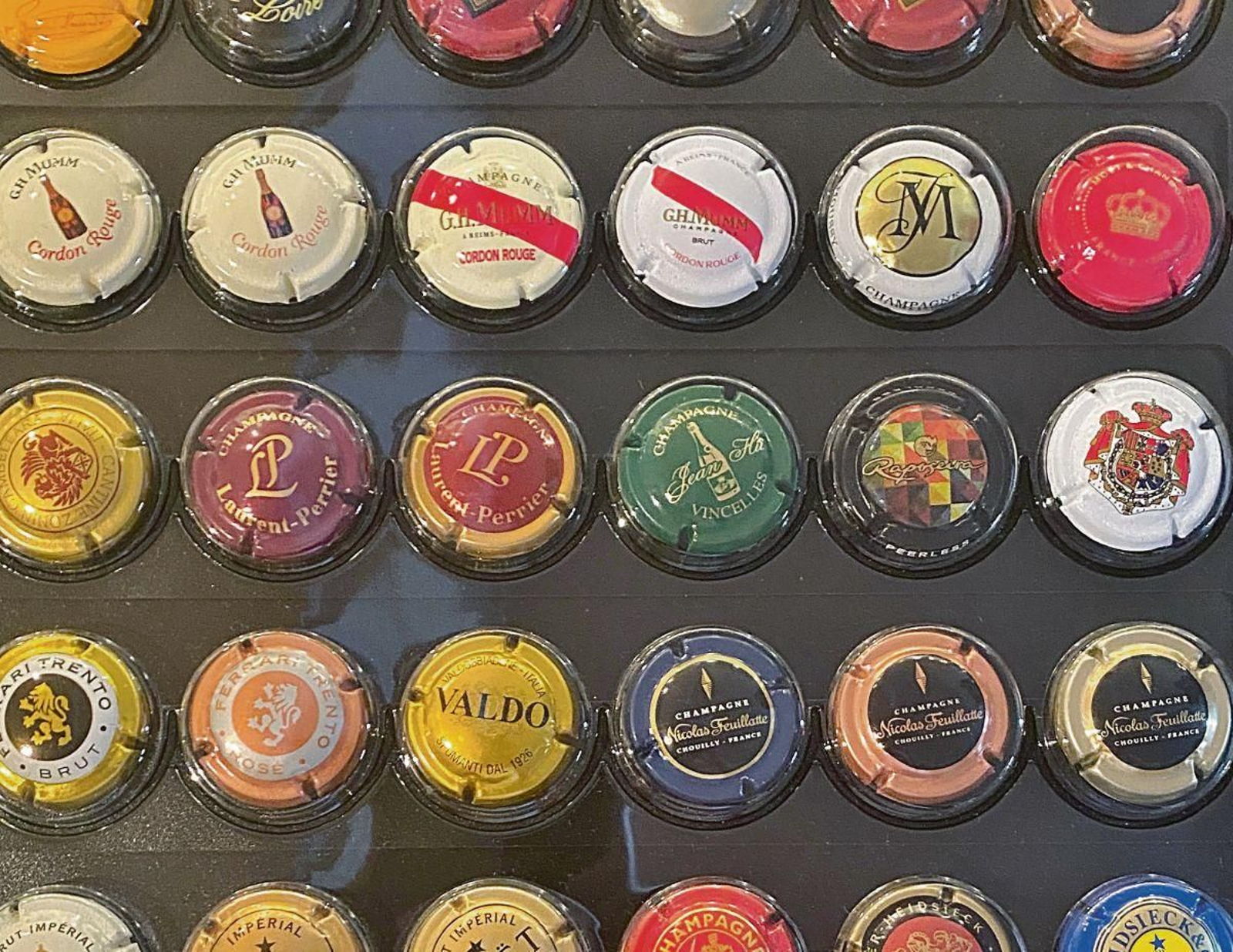 Conocidas bodegas francesas ordenadas en el albúm