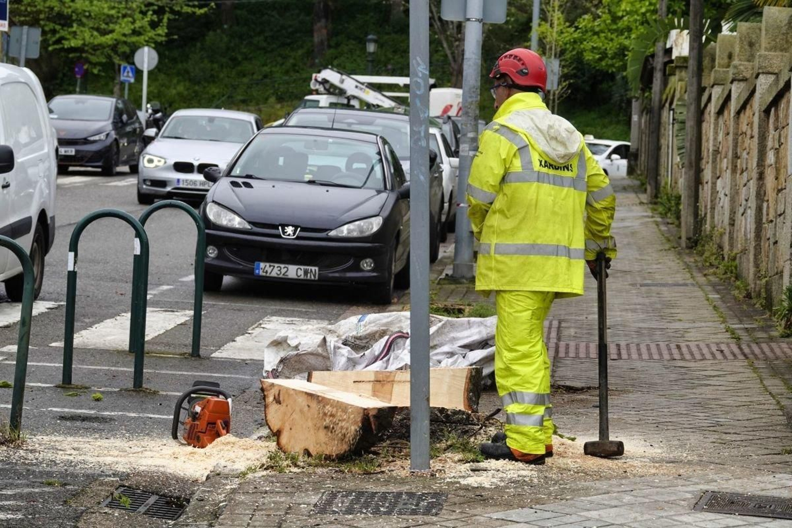 Tala de árboles en O Castro. // Vicente Alonso