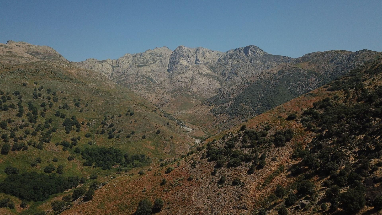 Paisaje de la sierra de Gredos, única sabana superviviente de Europa de hace 10.000 años