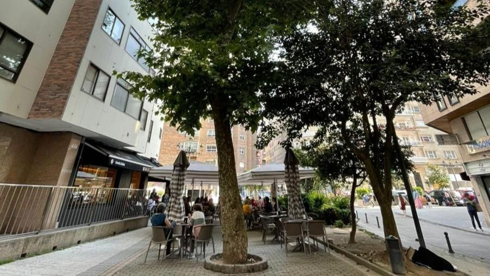 Los árboles que hay actualmente en el Calexón Balado.