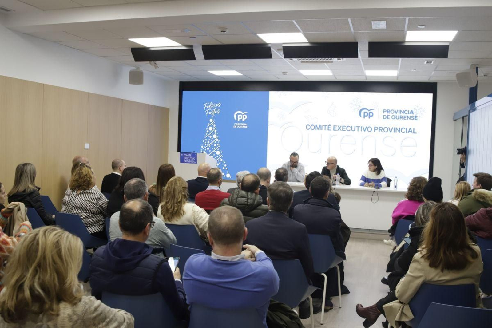 Comité ejecutivo provincial del PP