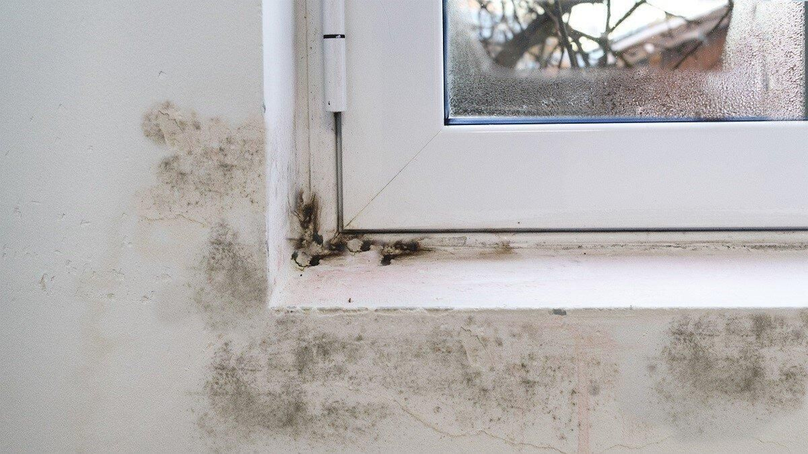 Una ventana con moho a causa de la condensación.
