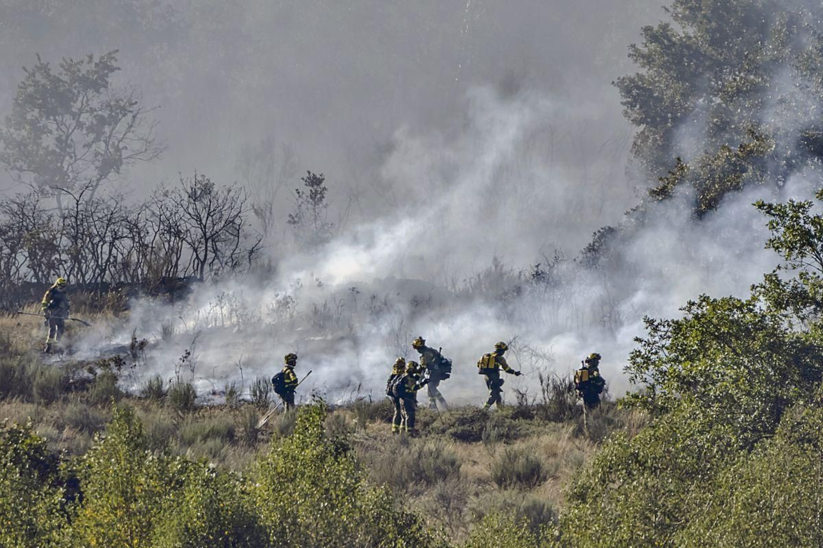Profesionales de la extinción de incendios durante el fuego que afectó a Calvos de Randín