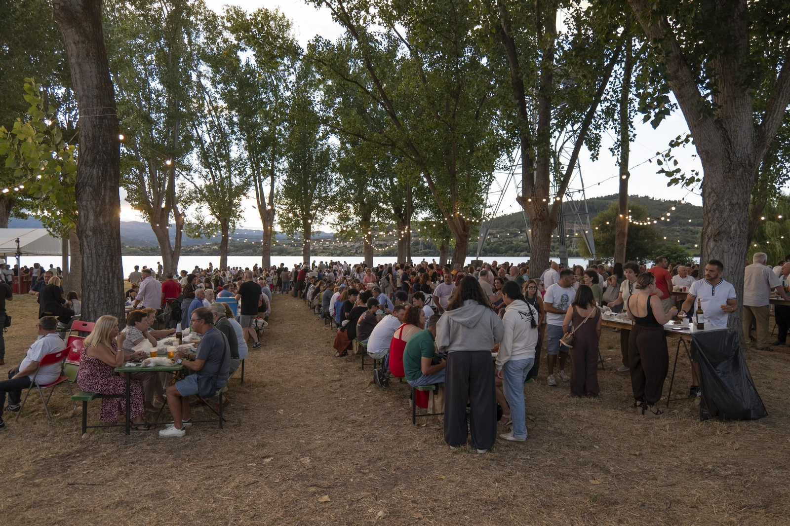 Galería | 700 kilos de sabor y anguilas para mantener viva la Festa da Anguía, en fotos