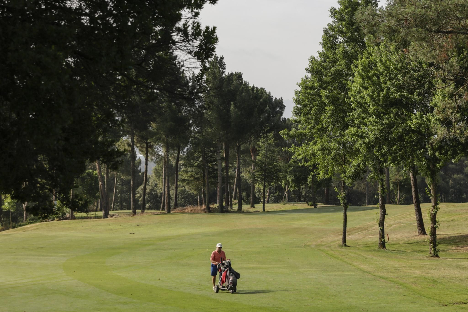 Galería | Montealegre, escenario del Torneo Benéfico AE Contra el Cáncer