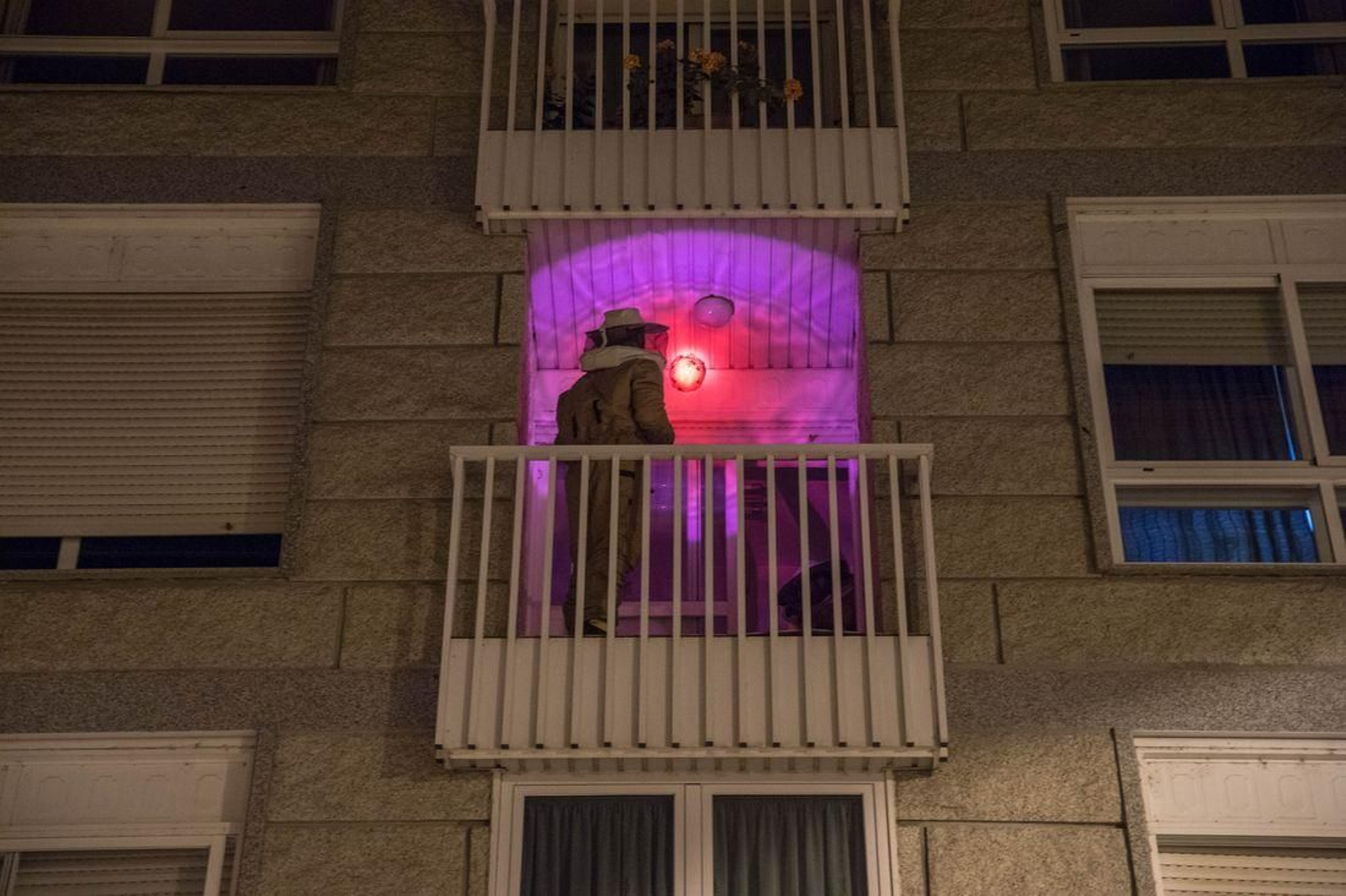 Retirada de un nido de velutina en la ciudad. (Foto: Óscar Pinal)