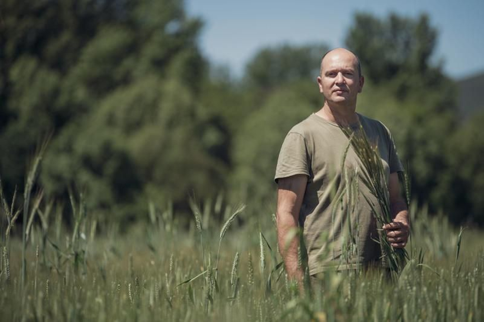 Bruno Salgado, en una de sus fincas de cereal. (Fotos: Óscar Pinal).