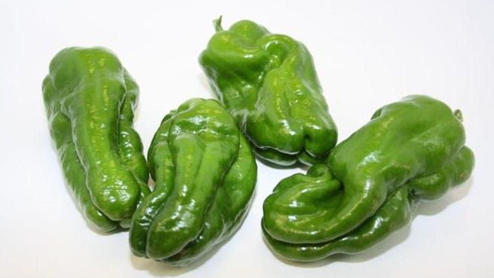 Ourense verde_resultado