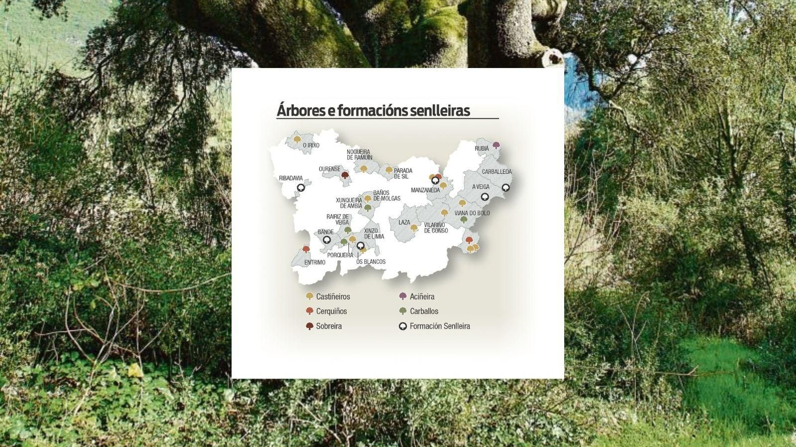 Árbores e formacións senlleiras