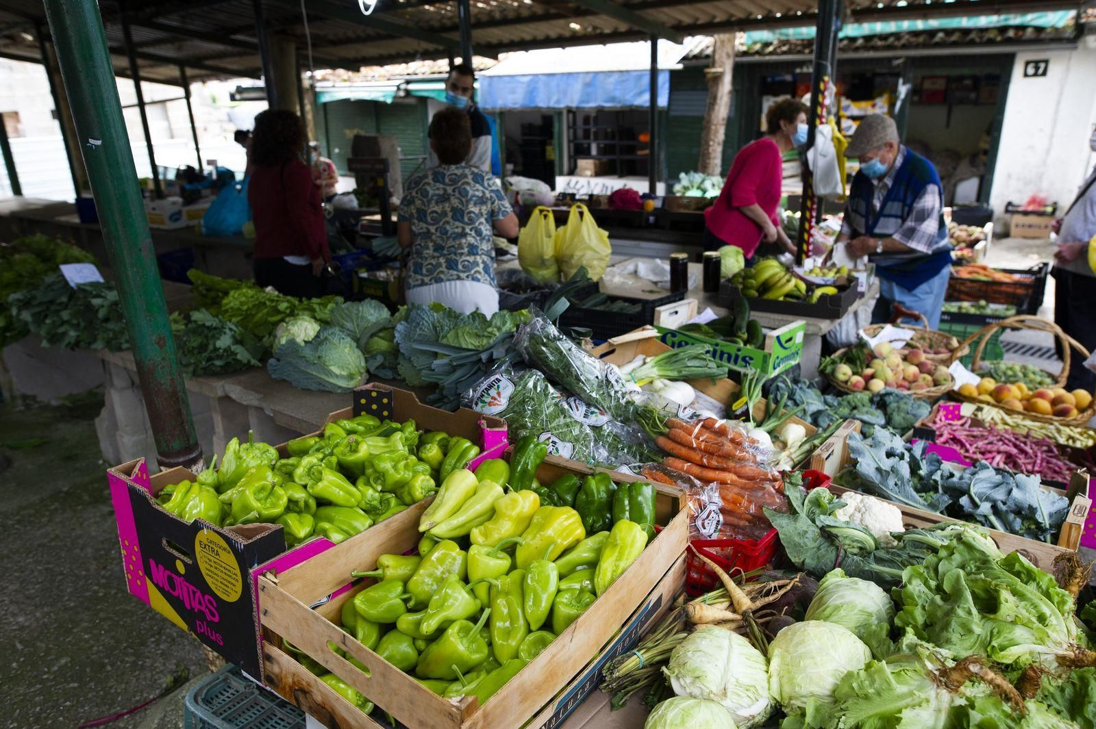 Varios pimientos en el mercdo (FOTOS: MARTIÑO PINAL, ALFREDO TABOADA Y MANUEL RIVEIRO)
