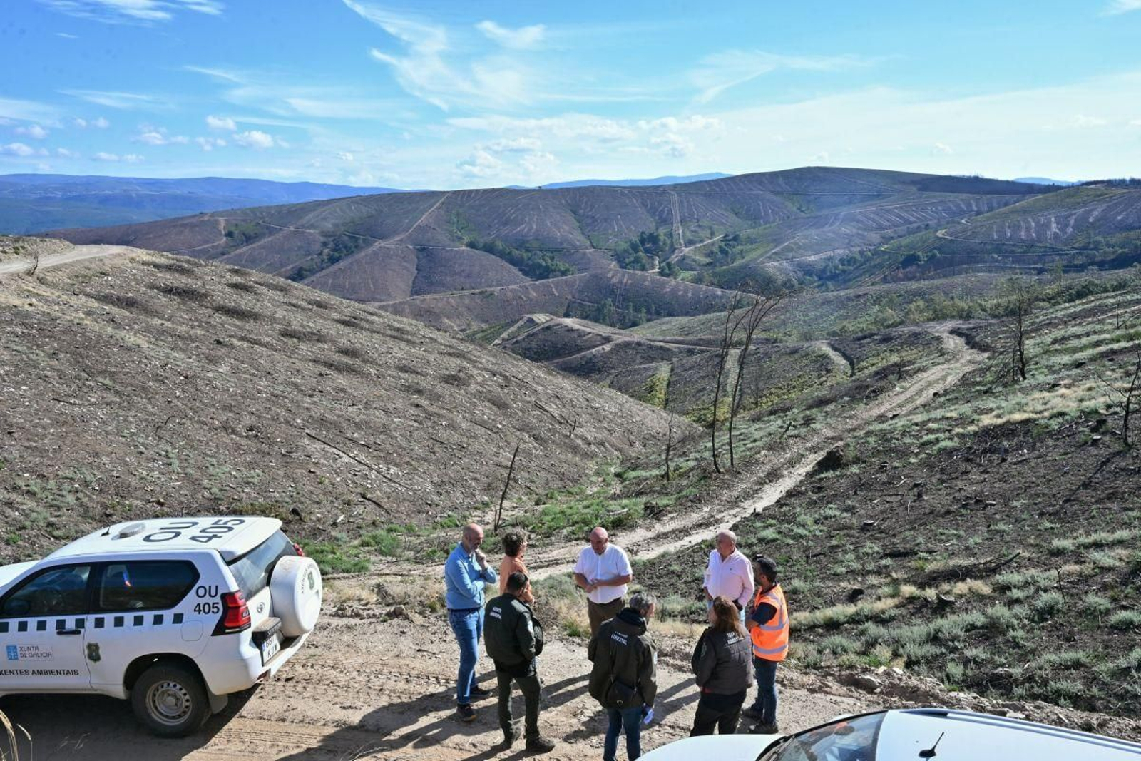 Vista de los montes de Laza en los que se están realizando los trabajos de restauración ambiental.