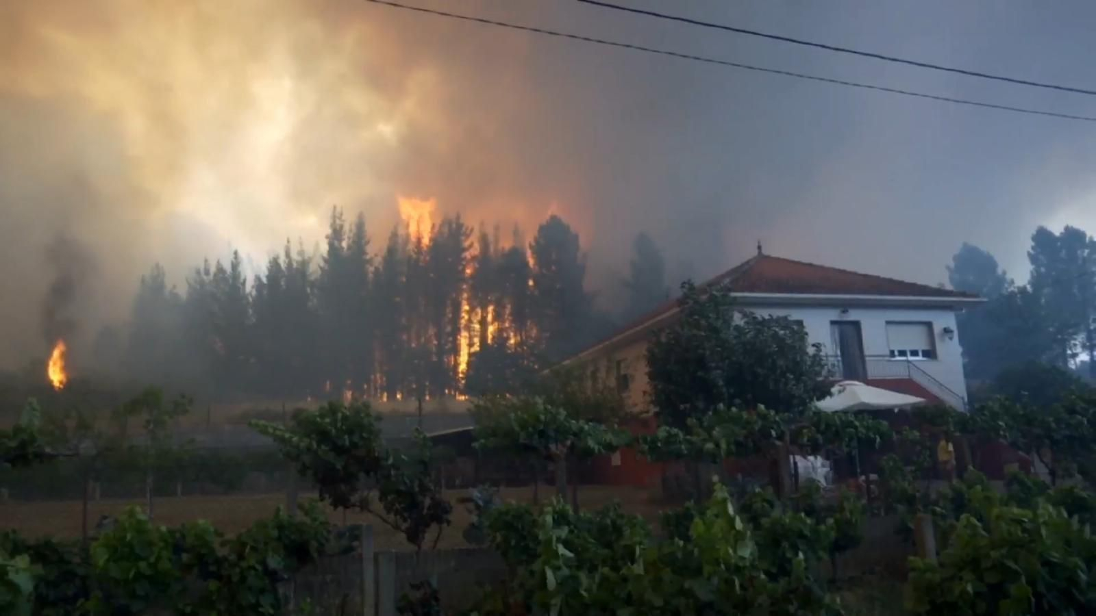 El incendio forestal en Monforte de Lemos _ Alberte02