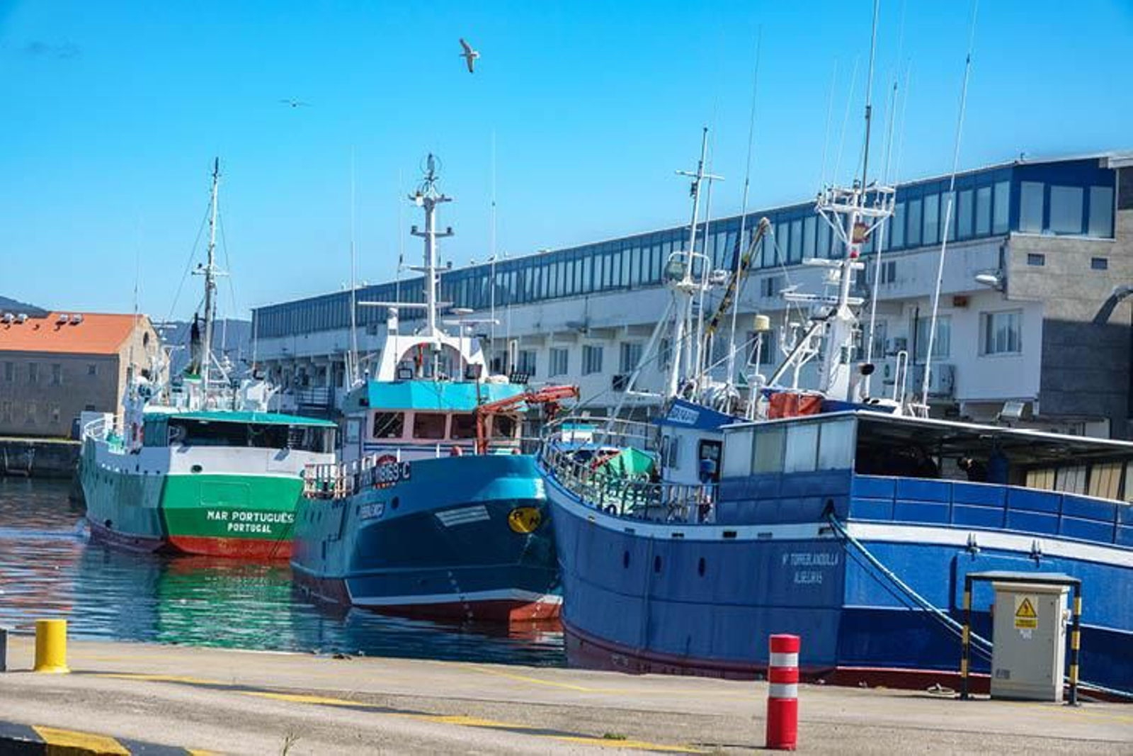 Barcos pesqueros amarrados en los muelles de O Berbés.