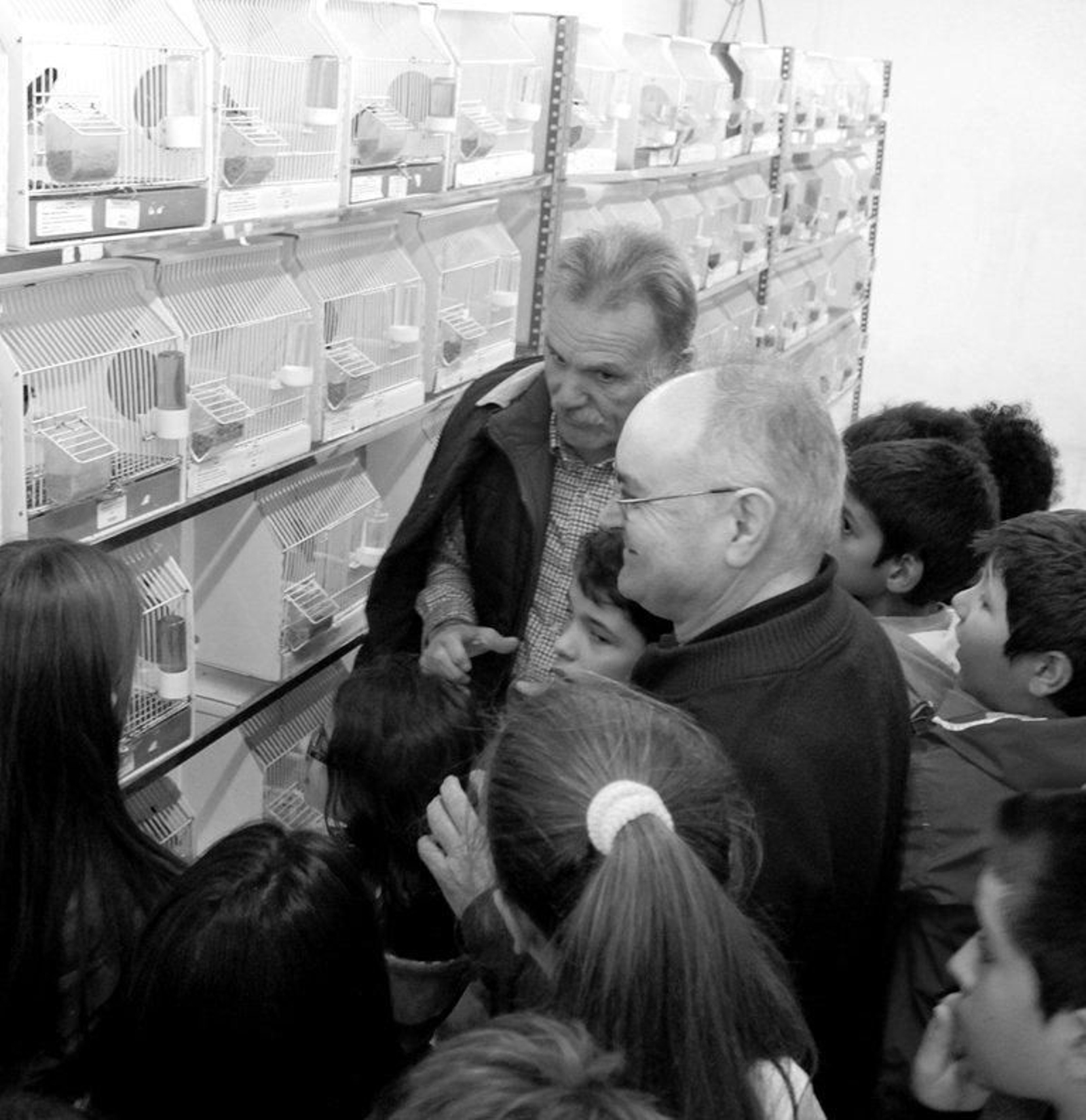 Un grupo de alumnos del CEIP Sabarís atienden a las explicaciones.