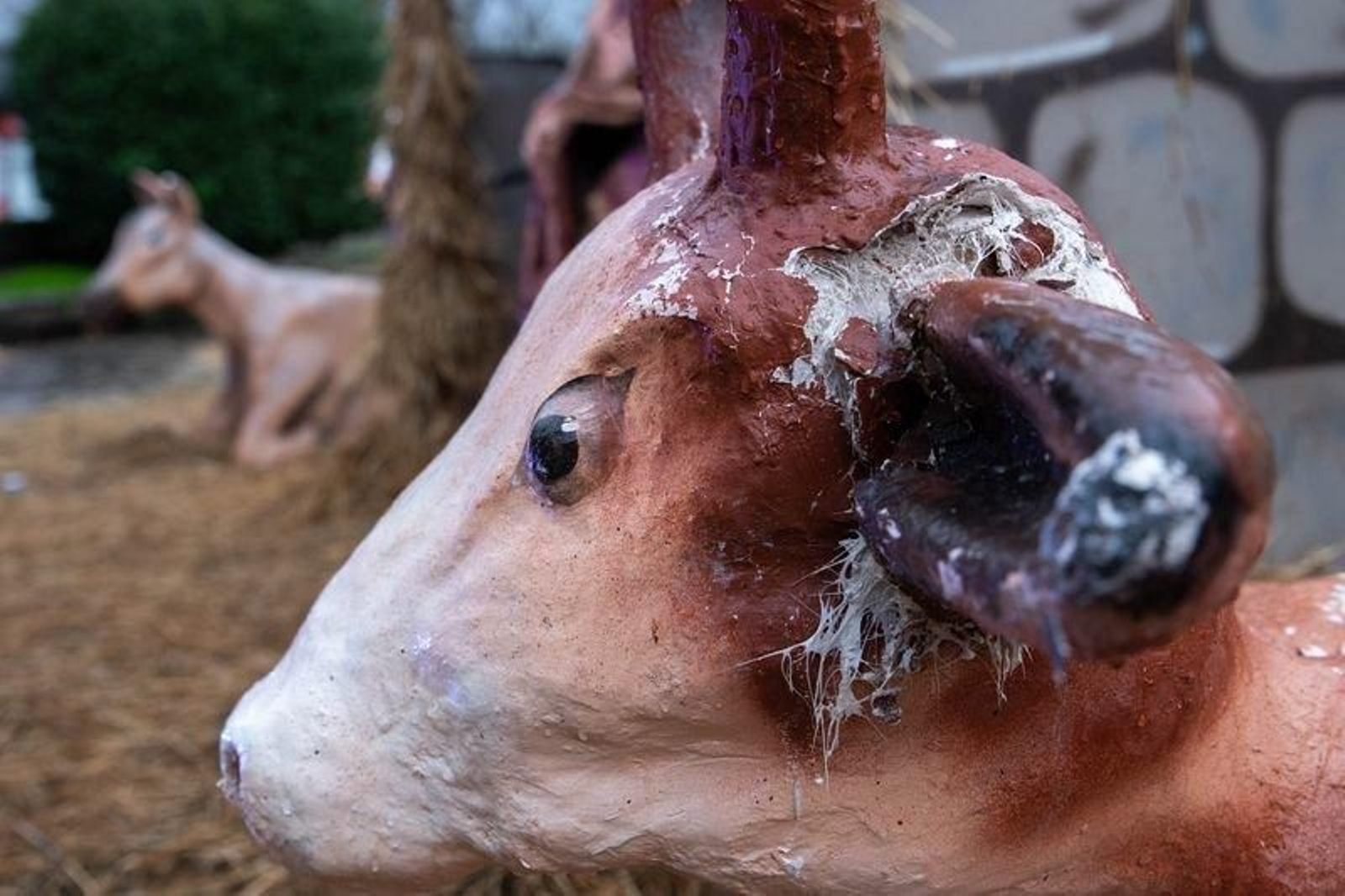 OURENSE (XARDÍNS BISPO CESÁREO). 21/12/2019. OURENSE. Destrozos en el Belén de Bispo Cesáreo. FOTO: ÓSCAR PINAL