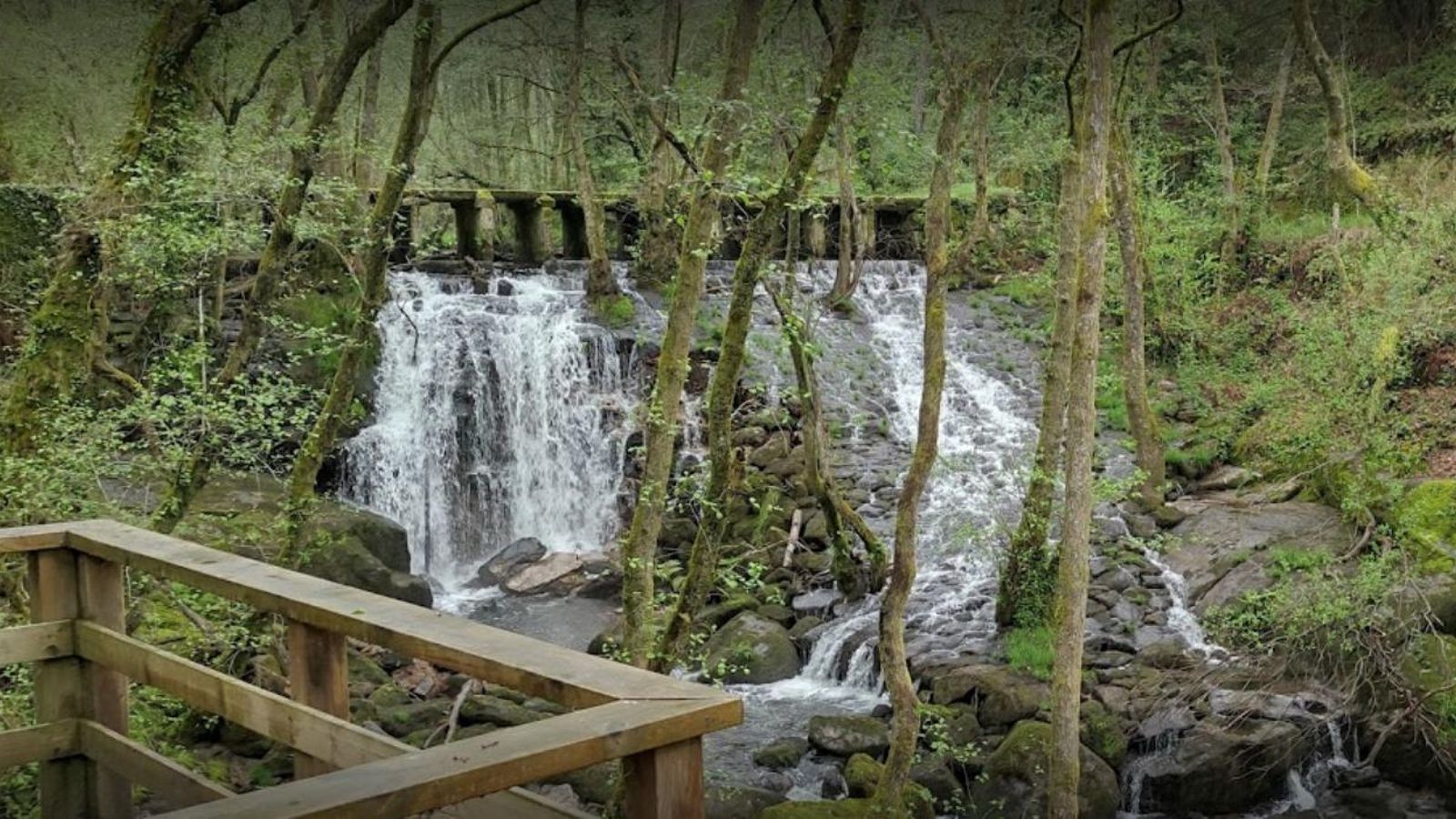 Sendero ecológico de Peilán
