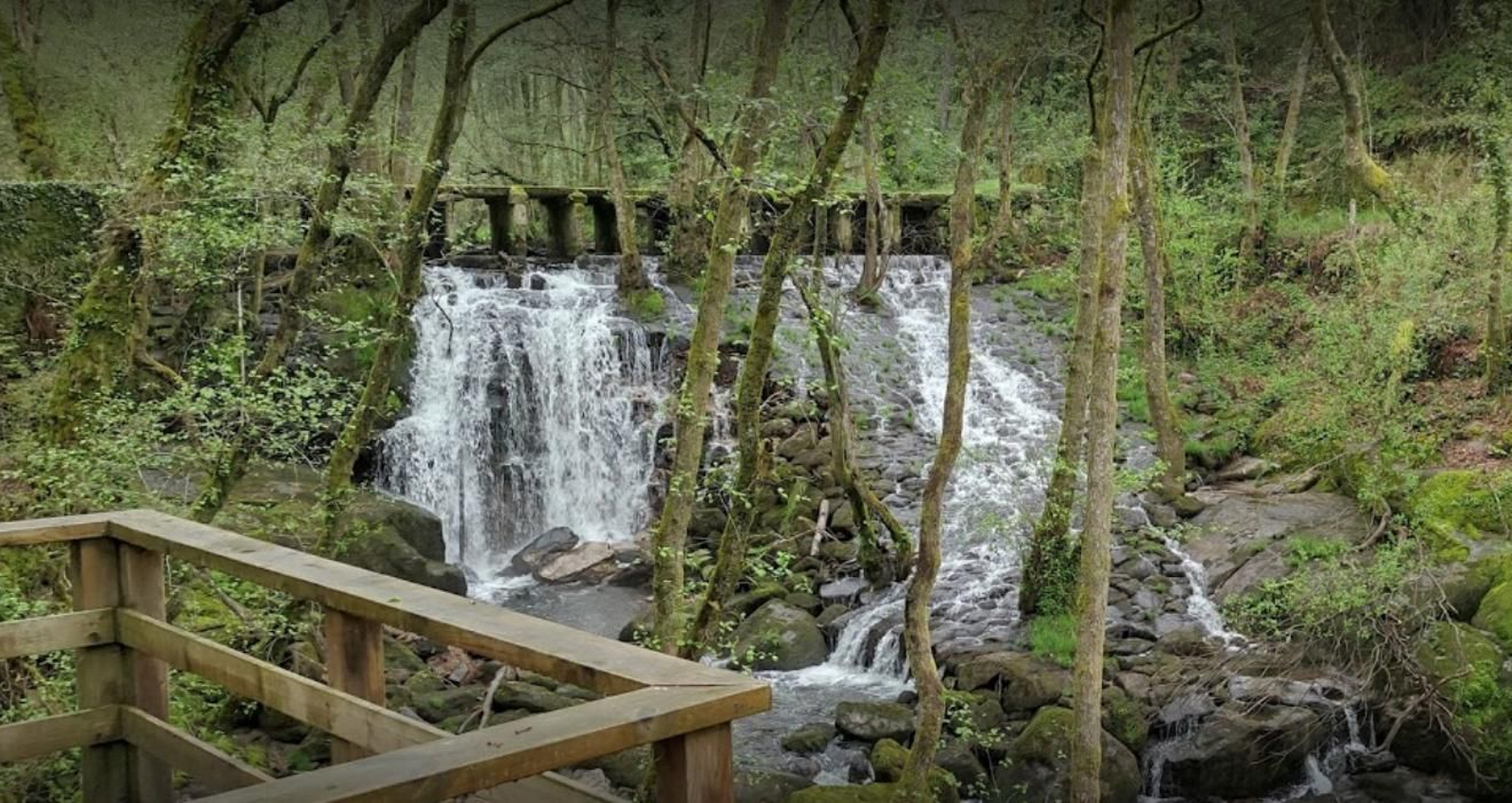 Sendero en la provincia de Ourense. (Foto de archivo)