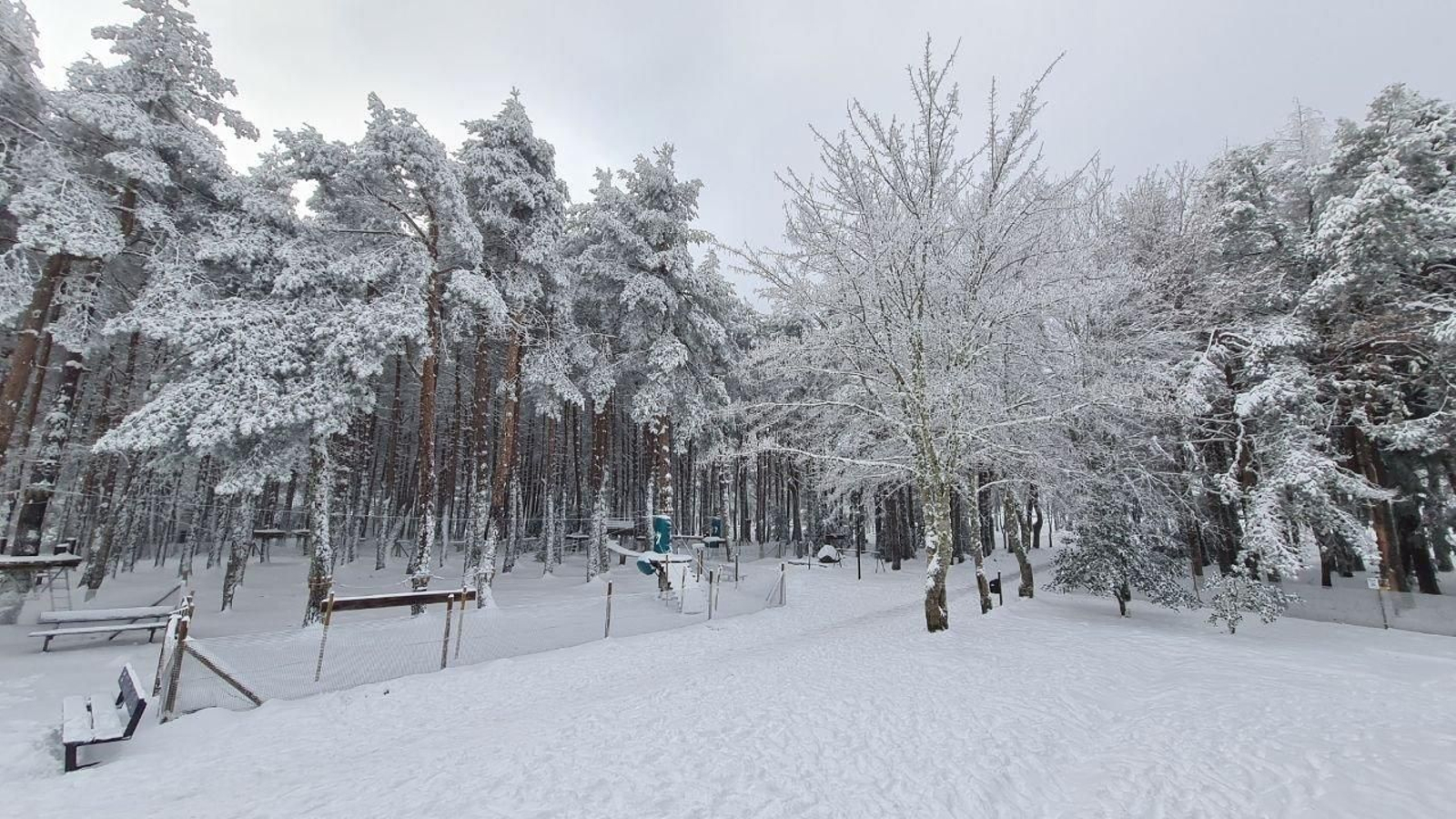 Estampas ahora sí propias del invierno.
