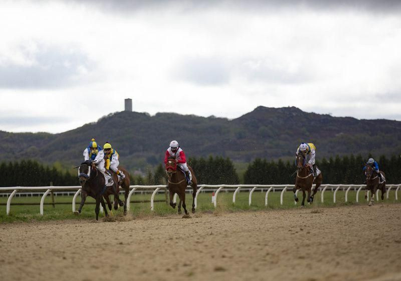 El hipódromo de Antela acogió la Copa Deputación de Hípica en modalidad de velocidad y trote en el hipódromo de Antela (Fotos: Xesús Fariñas)