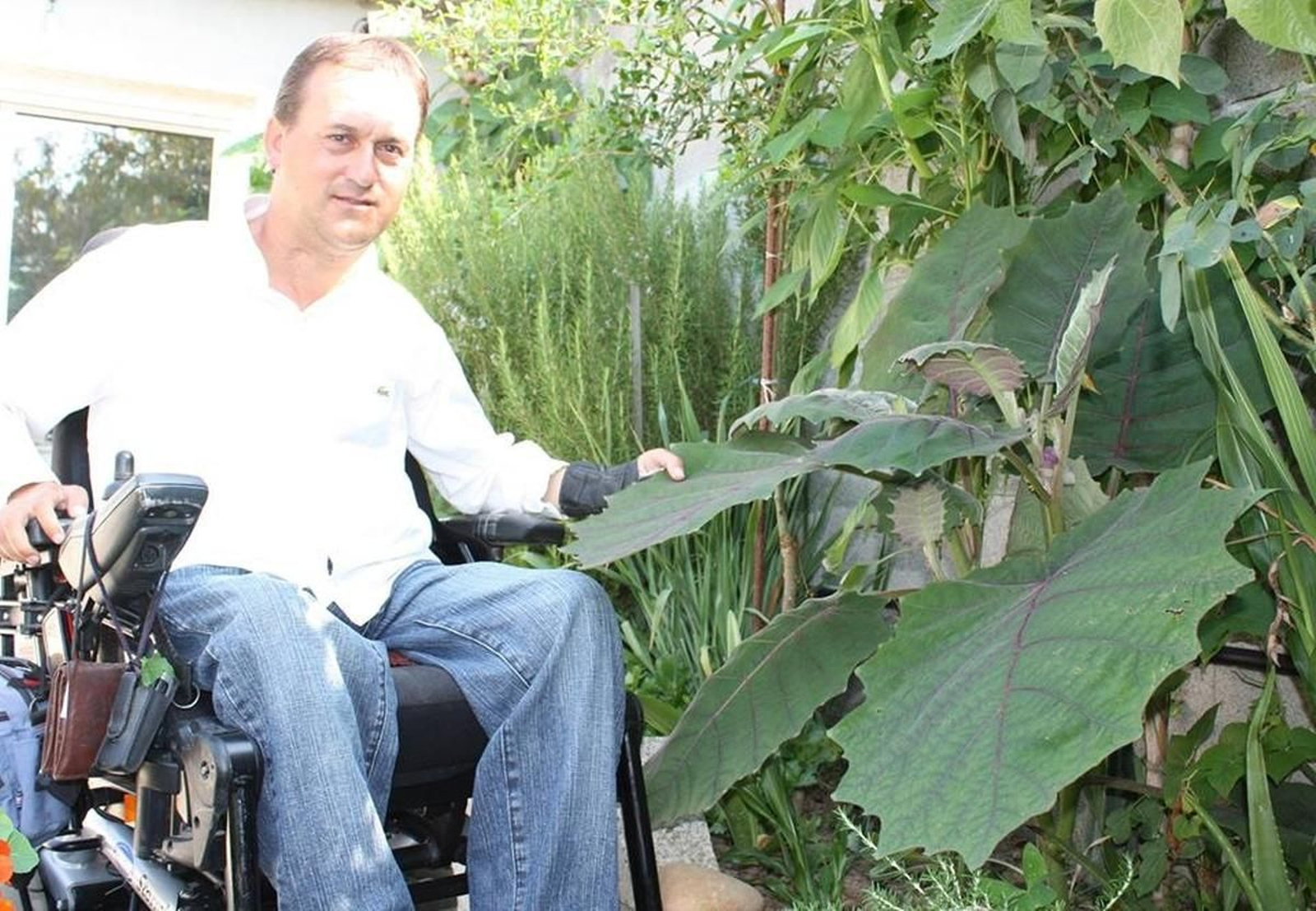 Carlos empezó lo que ahora es Ekohuerta para superar los problemas derivados de estar en silla de ruedas.