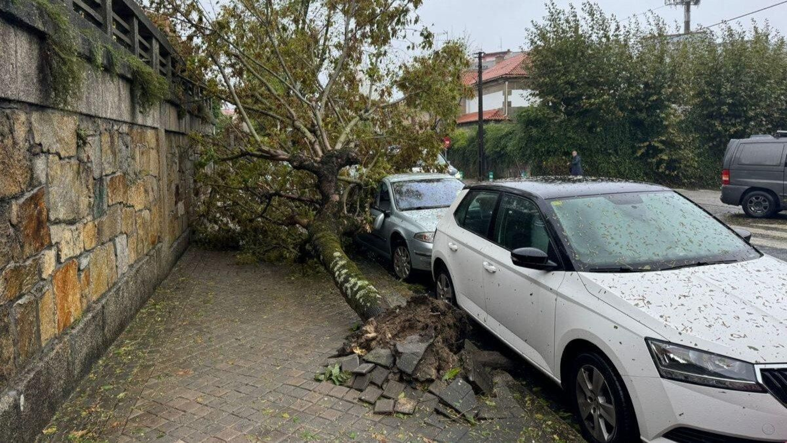 La violencia del temporal arrancó varios árboles, algunos cayeron sobre vehículos dejando daños materiales.