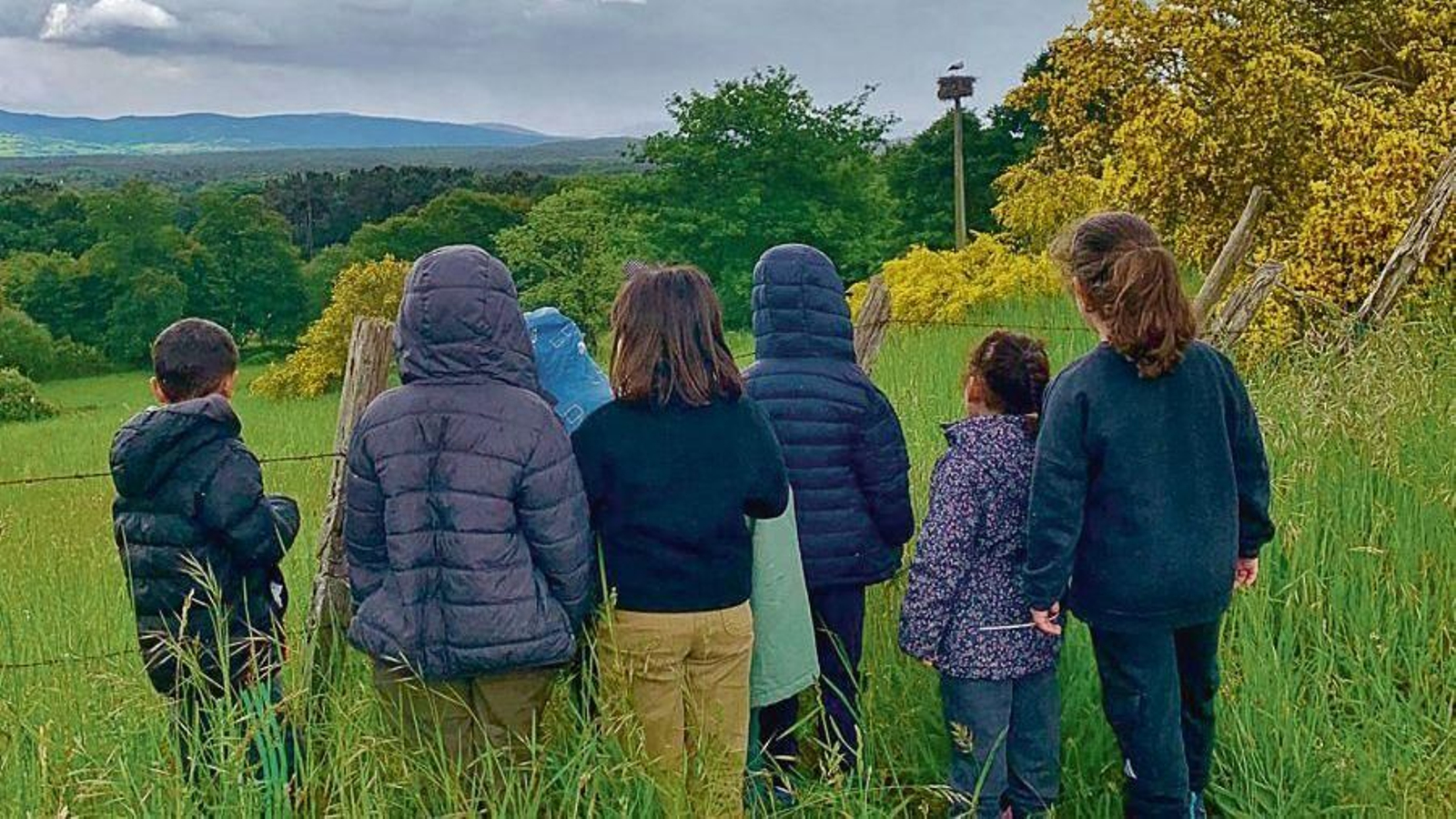 Algúns dos alumnos cun niño de cegoña ao fondo.