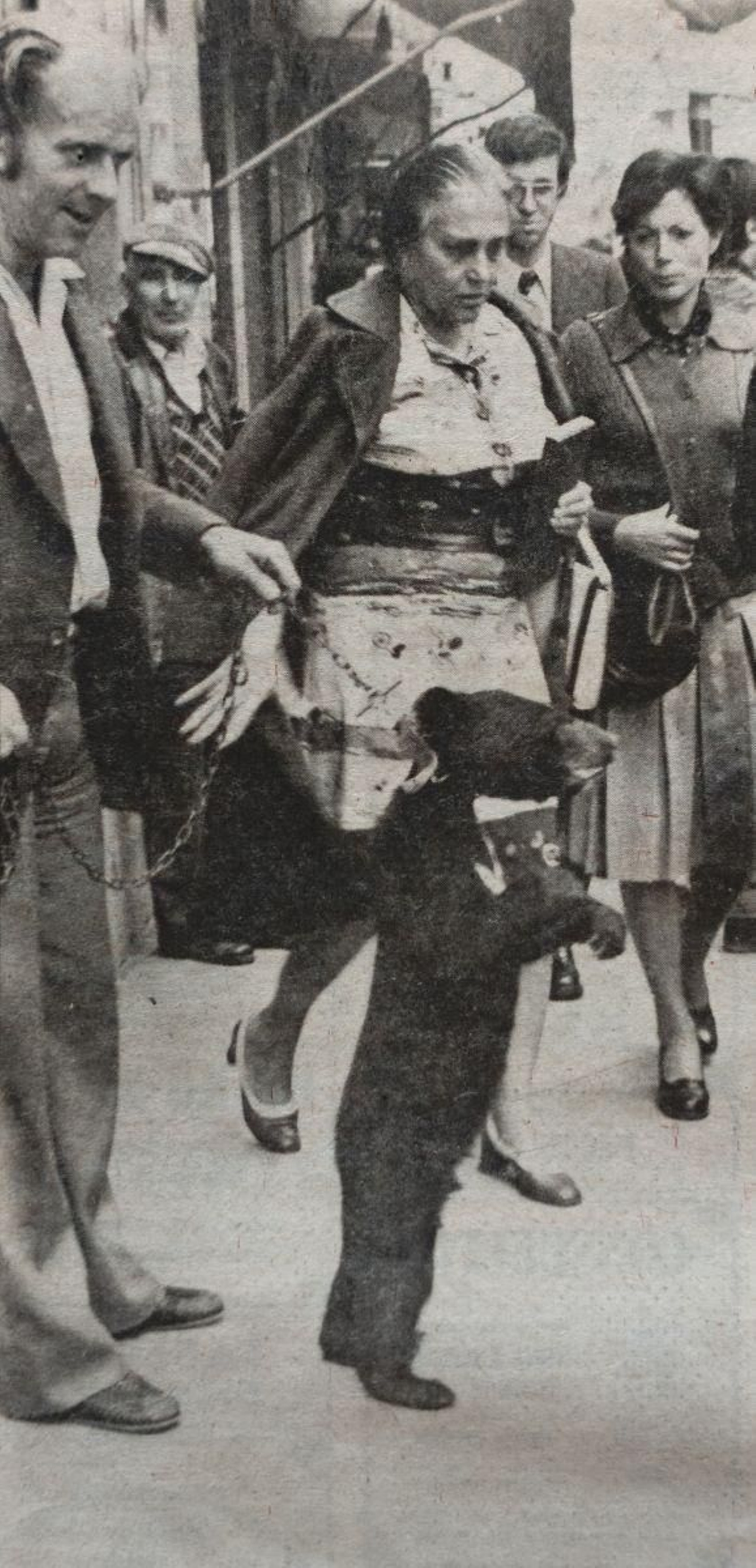 Jimmy Dólar paseando al oso Chuchi por Orense.
