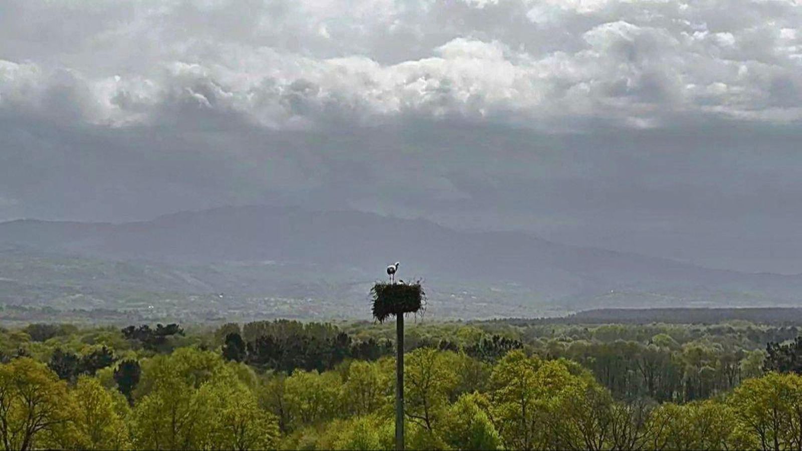 Ruta por Maceda junto a cigüeñas