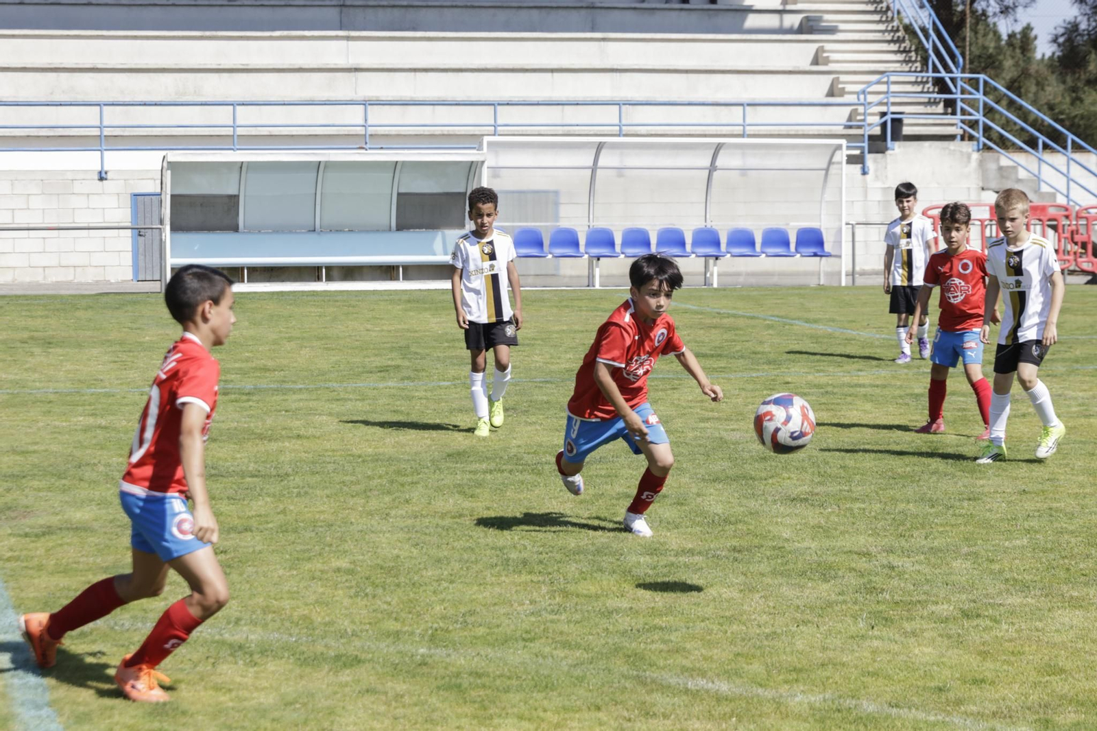 Los pequeños vibraron en San Rosendo con el Trofeo de fútbol Concello de Celanova