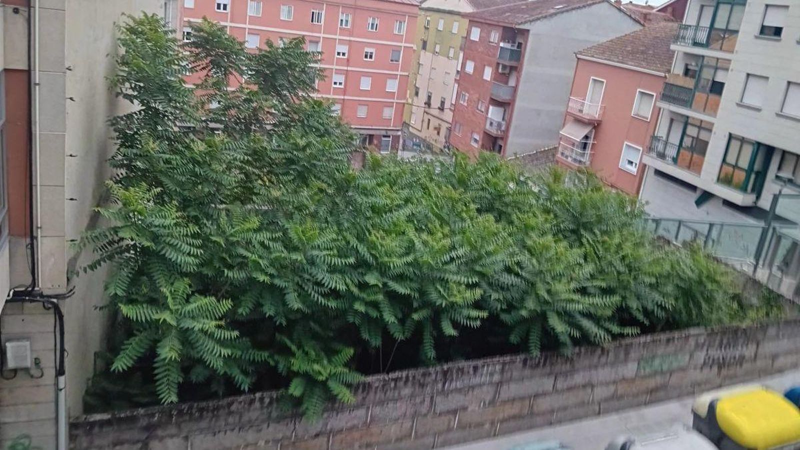 Vista de la calle Mercado, en Ourense con numerosa maleza.