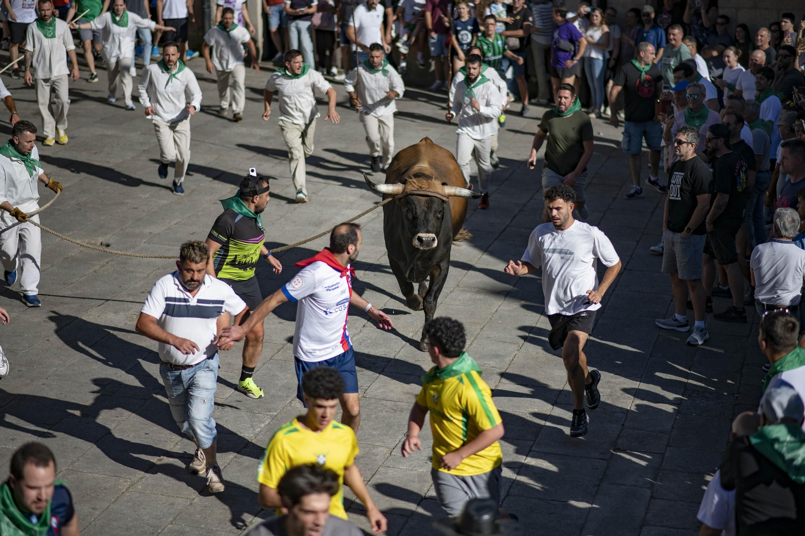 Galería | Allariz desfruta a Festa do Boi con paixón e fervor ata o último suspiro