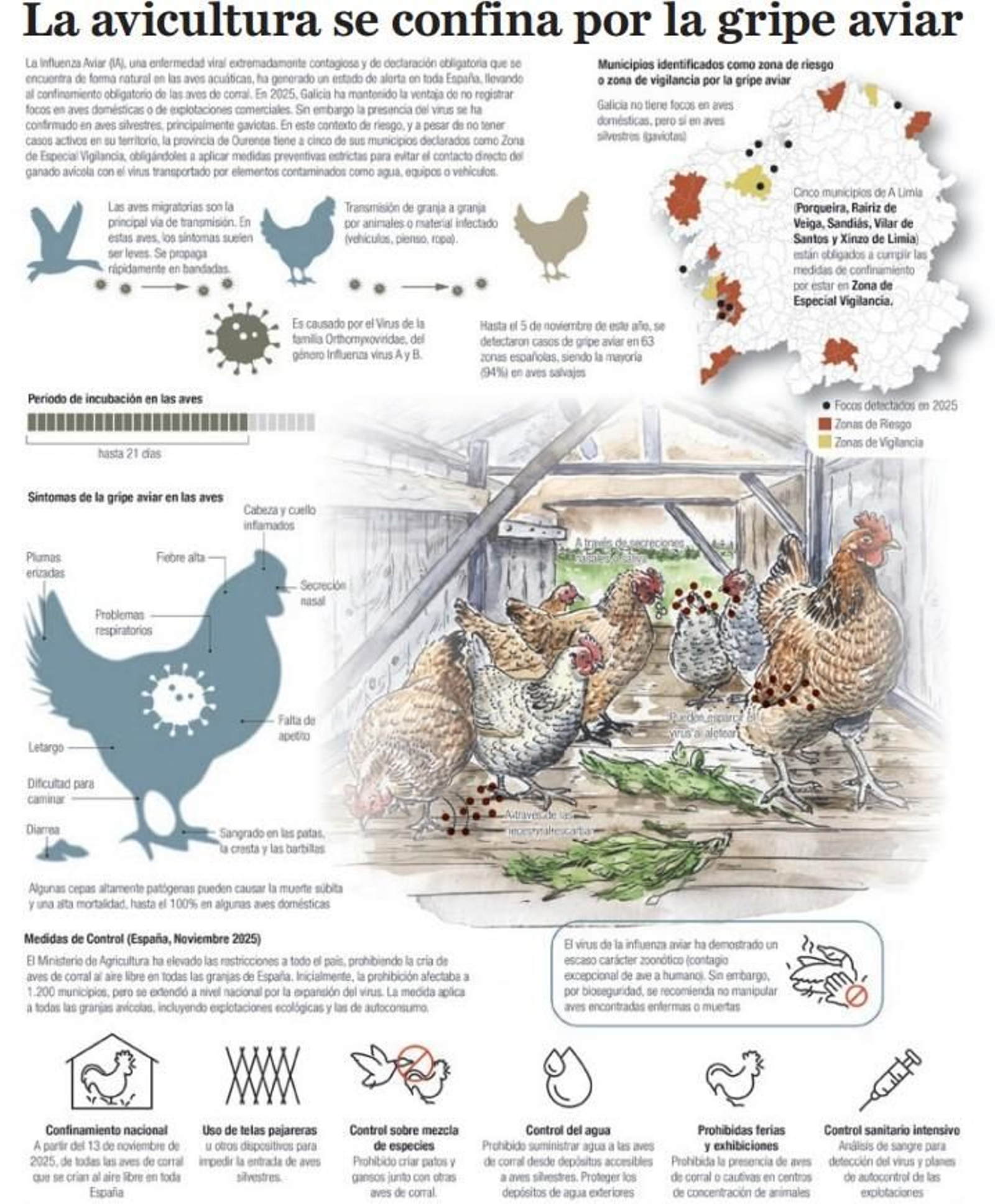 Infografía | La avicultura se confina por la gripe aviar