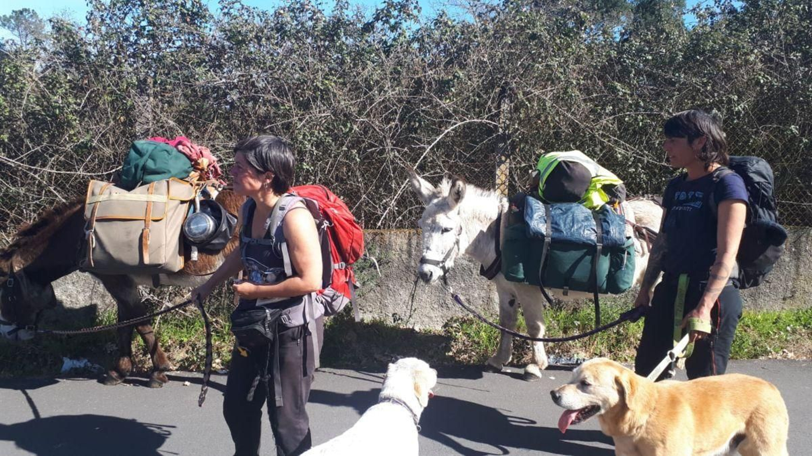 Celine y Gael junto a sus burros.